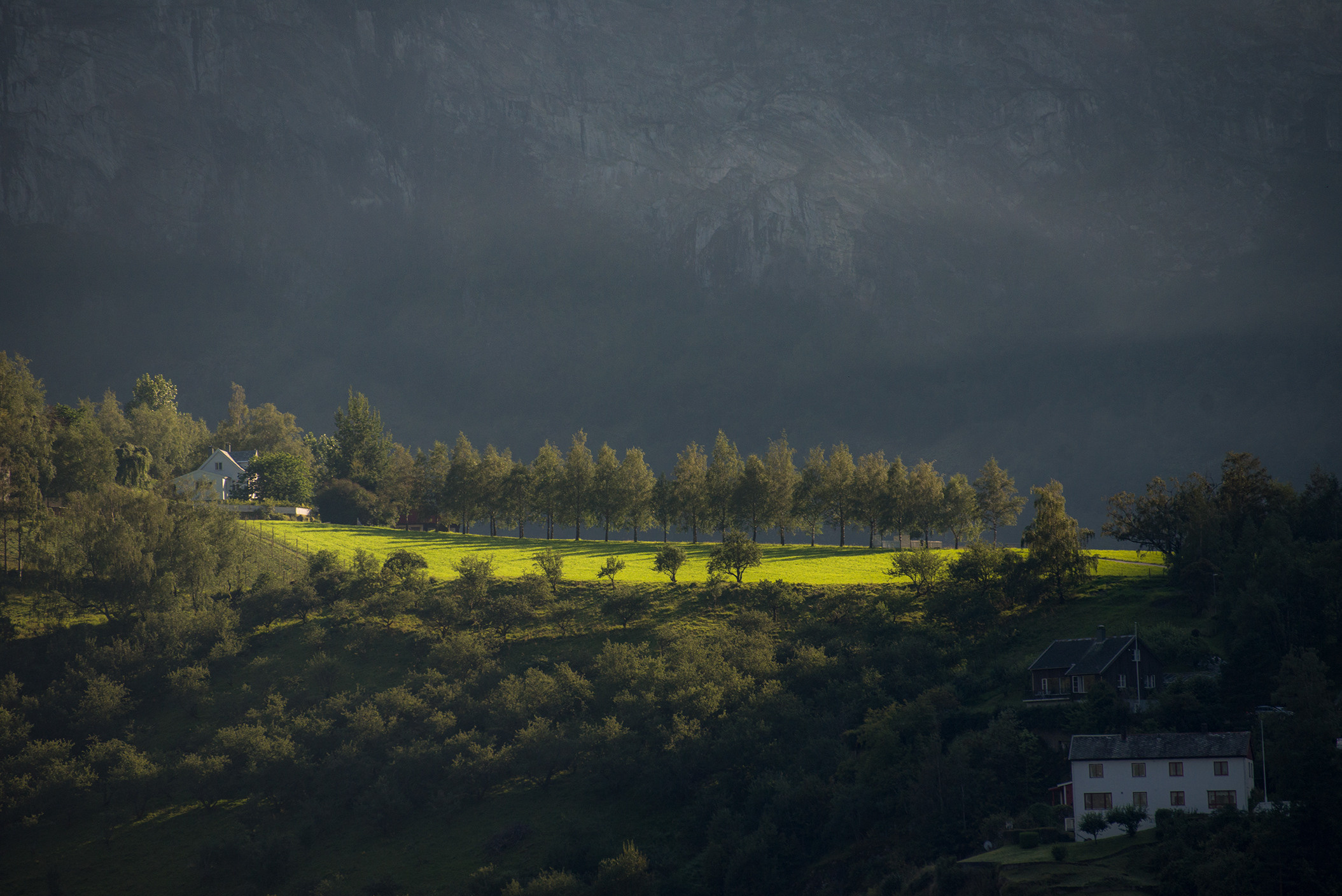 Спортивный и репортажный фотограф Рустам Афлятунов в Казани