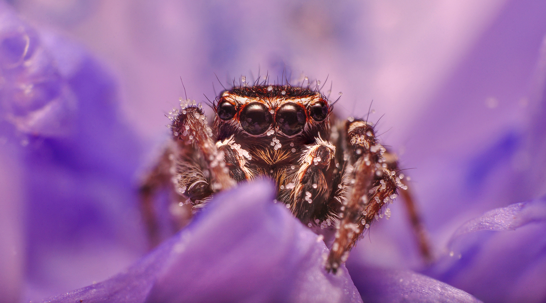 Природный фотограф в Казани. Спортивный и репортажный фотограф Рустам Афлятунов в Казани