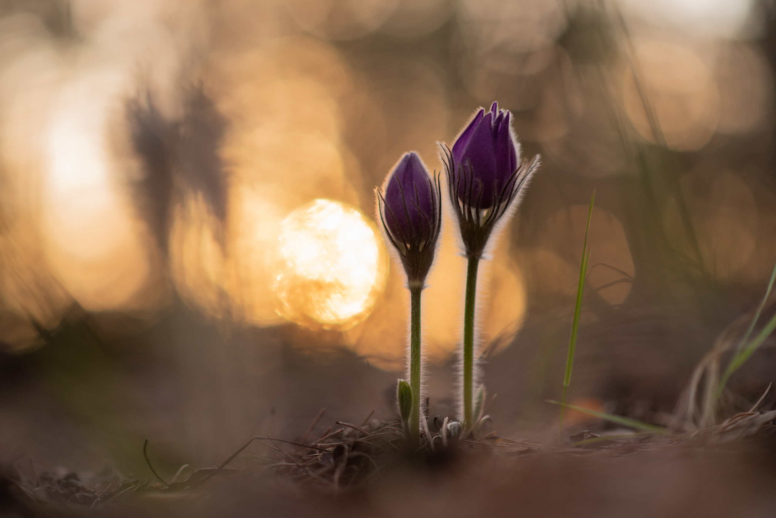 Спортивный и репортажный фотограф Рустам Афлятунов в Казани