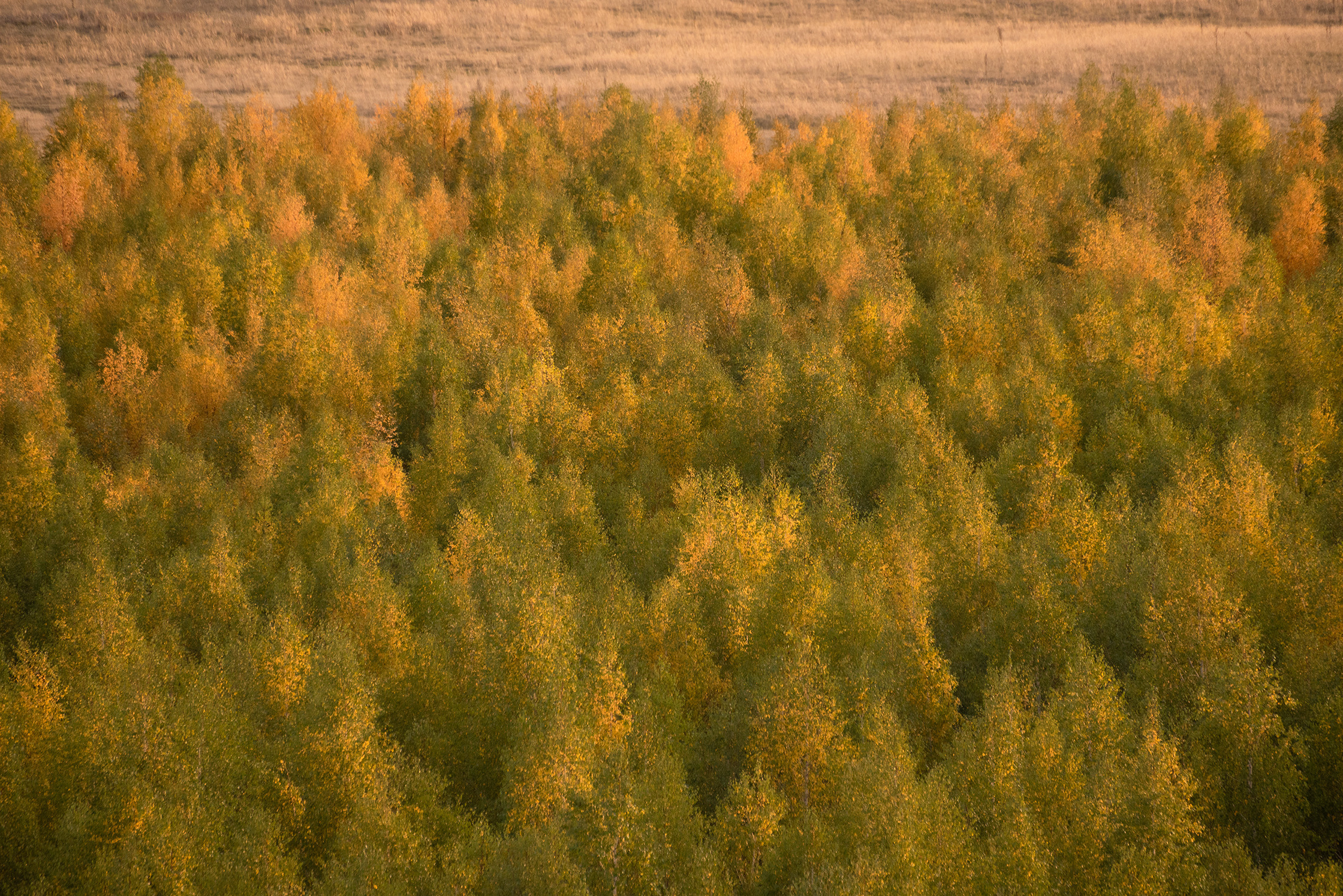 Пейзажный фотограф из Казани. Спортивный и репортажный фотограф Рустам Афлятунов в Казани
