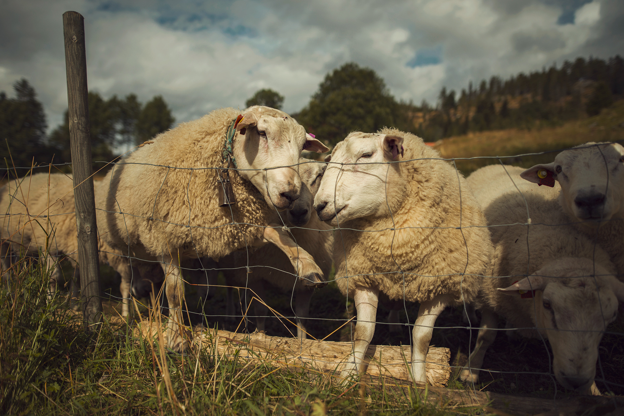 Пейзажный фотограф из Казани. Спортивный и репортажный фотограф Рустам Афлятунов в Казани