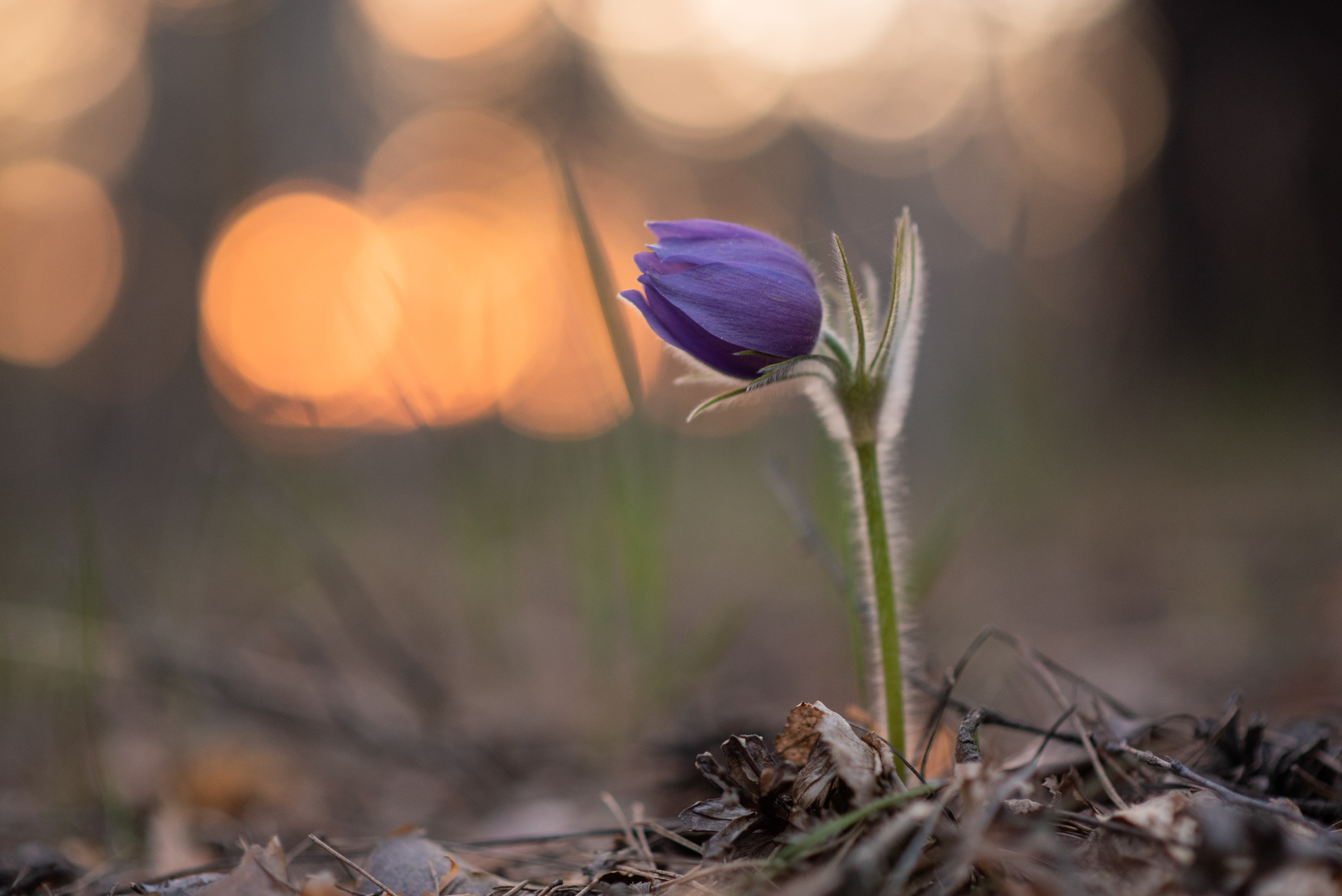 Природный фотограф в Казани. Спортивный и репортажный фотограф Рустам Афлятунов в Казани