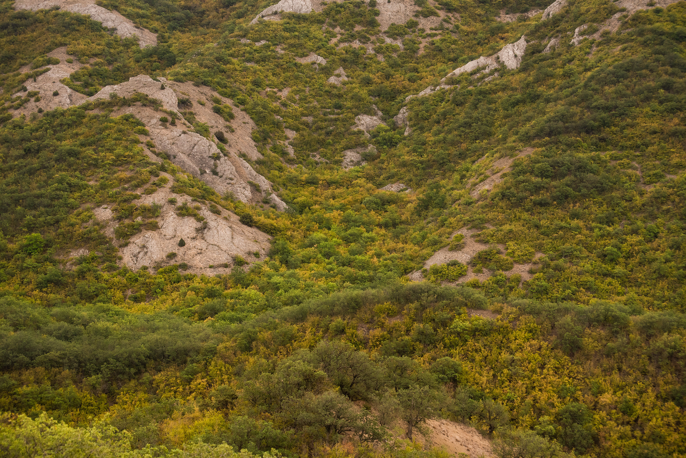 Пейзажный фотограф из Казани. Спортивный и репортажный фотограф Рустам Афлятунов в Казани