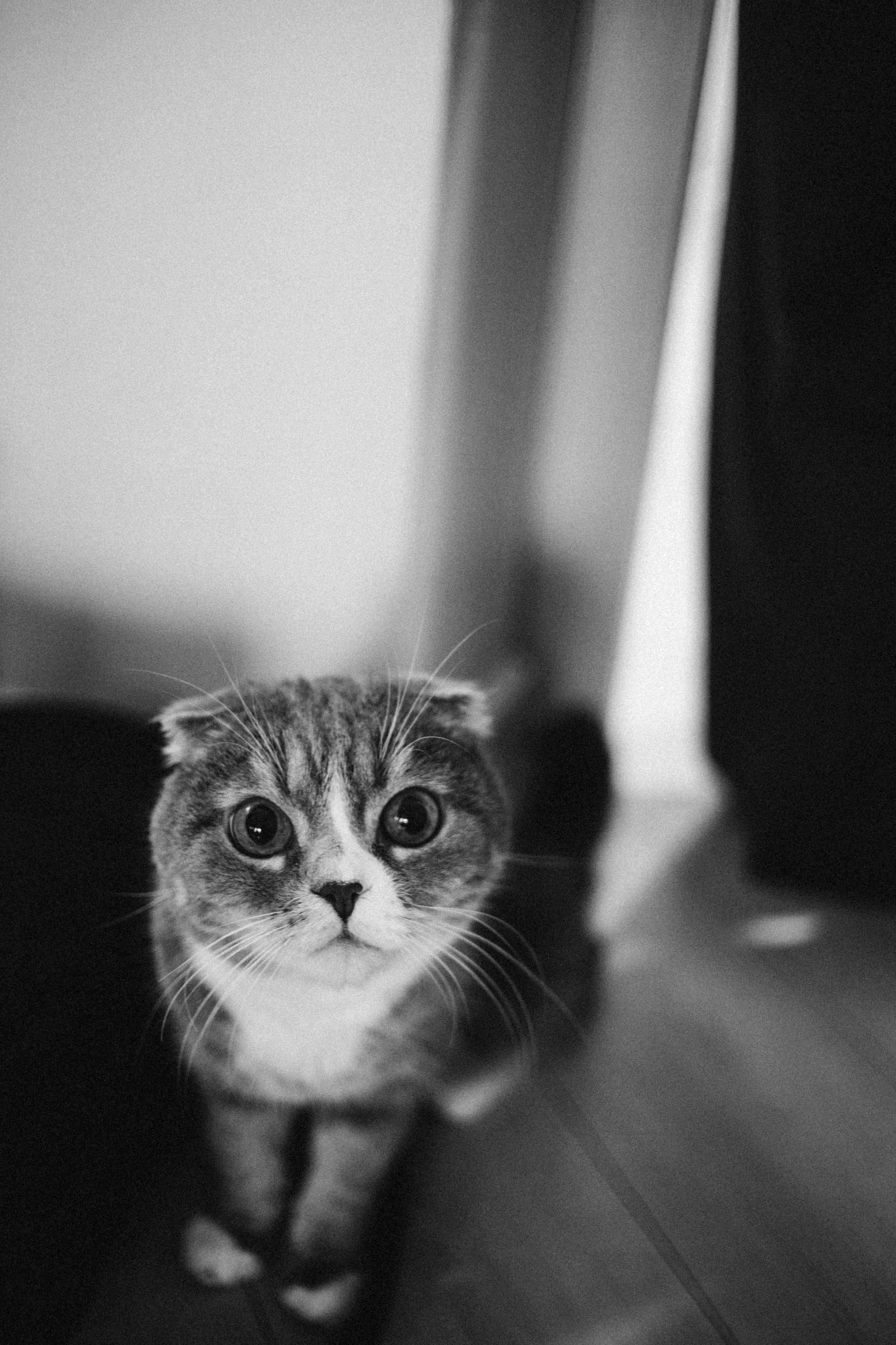 Выписка Мирославы. Семейный фотограф и фотограф на роды в Ростове-на-Дону Мухина Виктория