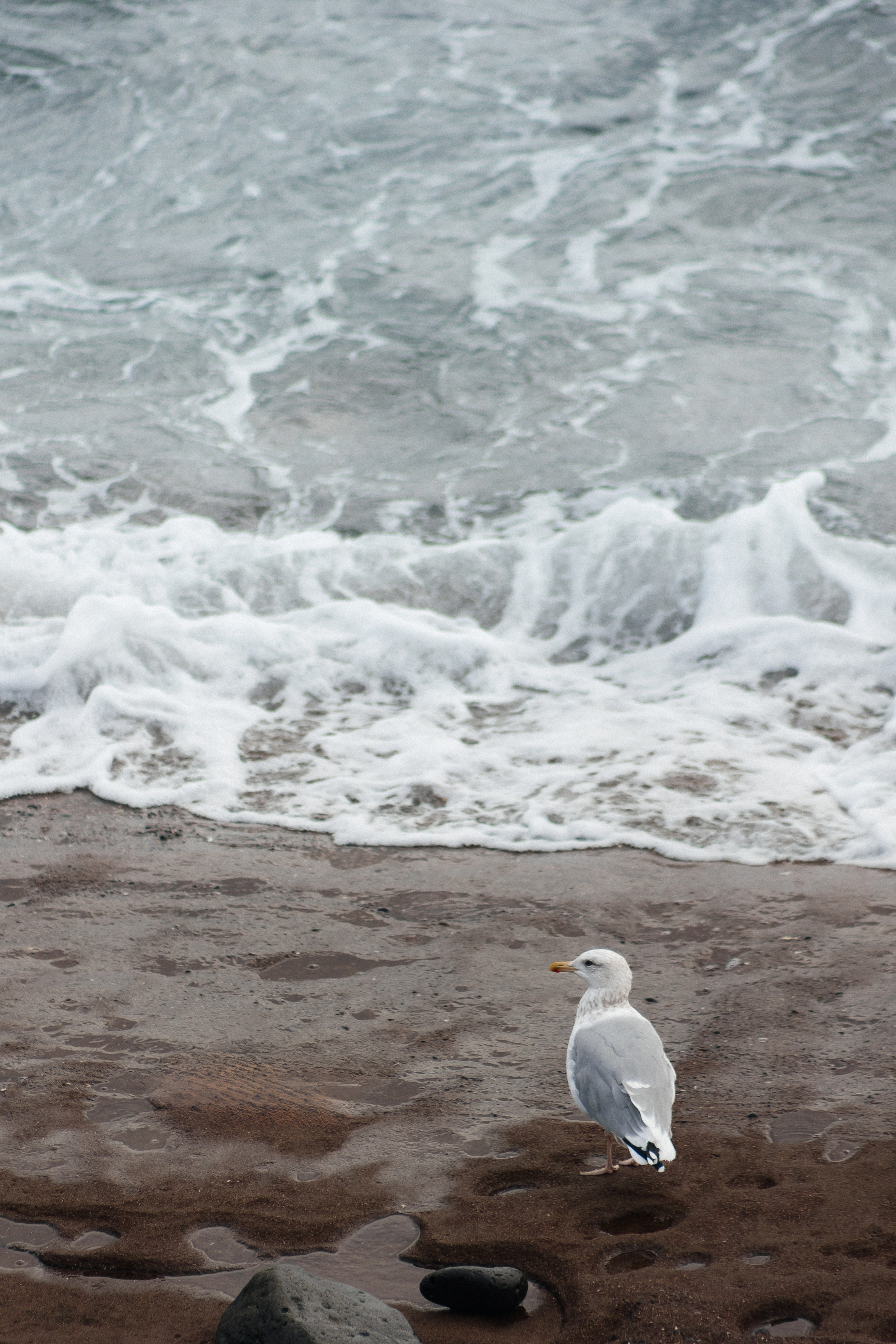 Jeju, South Korea. Свадебный фотограф Москва и МО Паншина Дарья