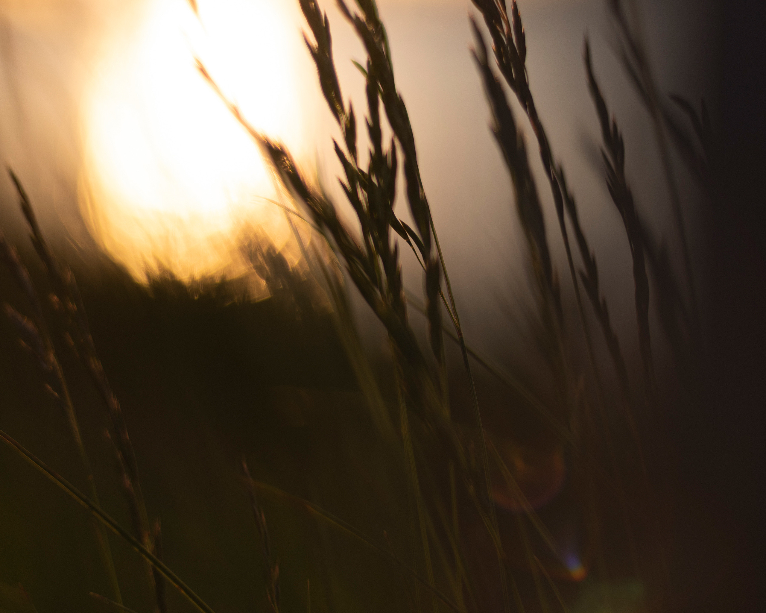 Женский портрет Петербург. Портретный фотограф Белград Матвей Кармаков