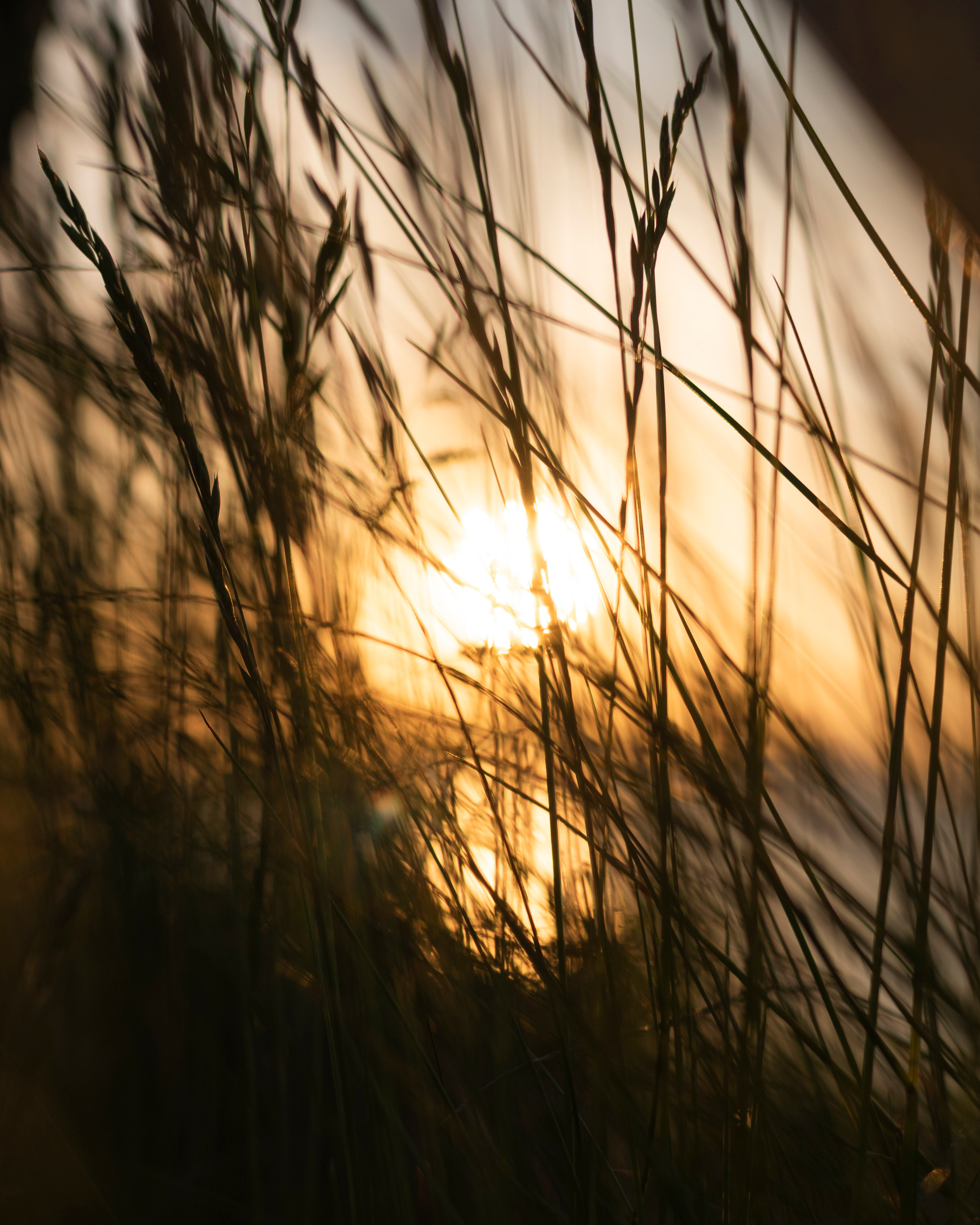 Женский портрет Петербург. Портретный фотограф Белград Матвей Кармаков