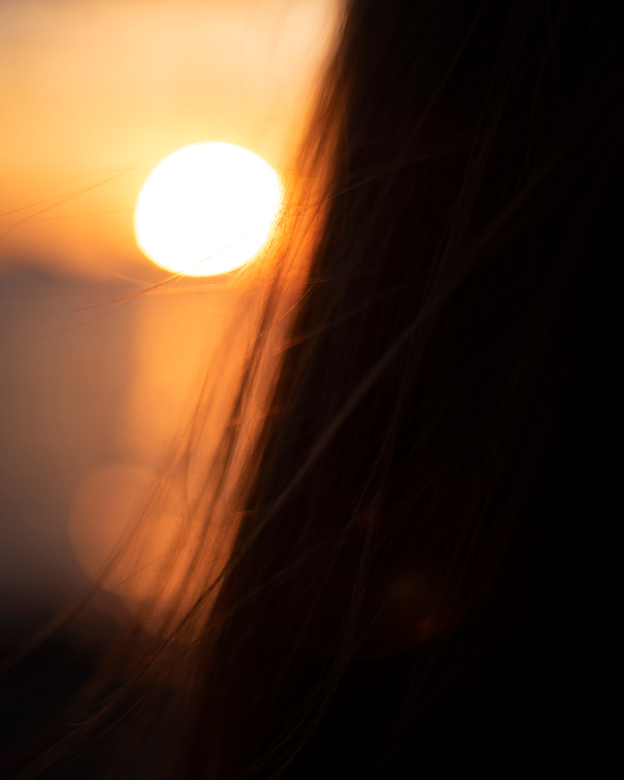 Женский портрет Петербург. Портретный фотограф Белград Матвей Кармаков