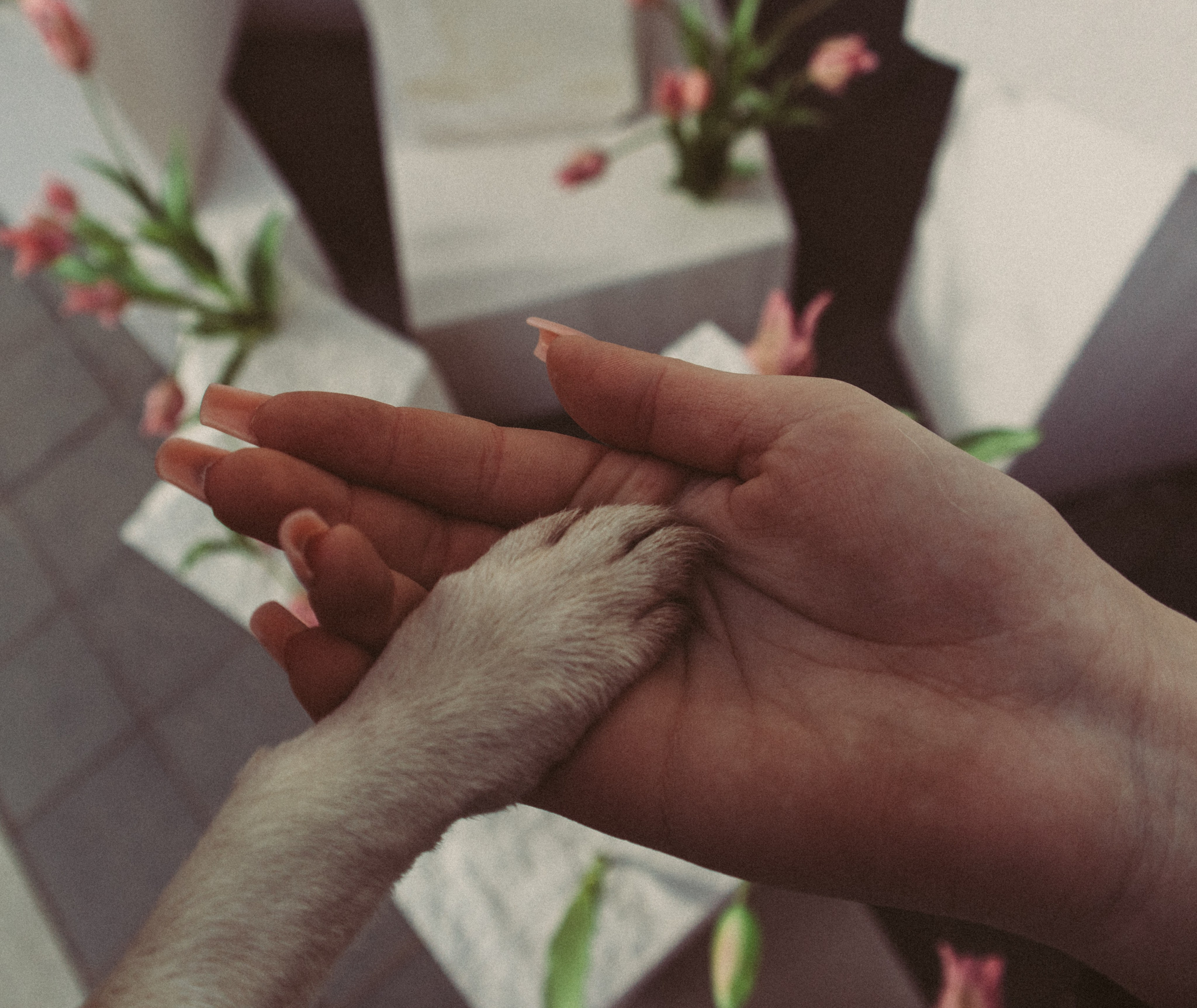 Полина и Греночка. Фотограф в Твери Дарья Уткина