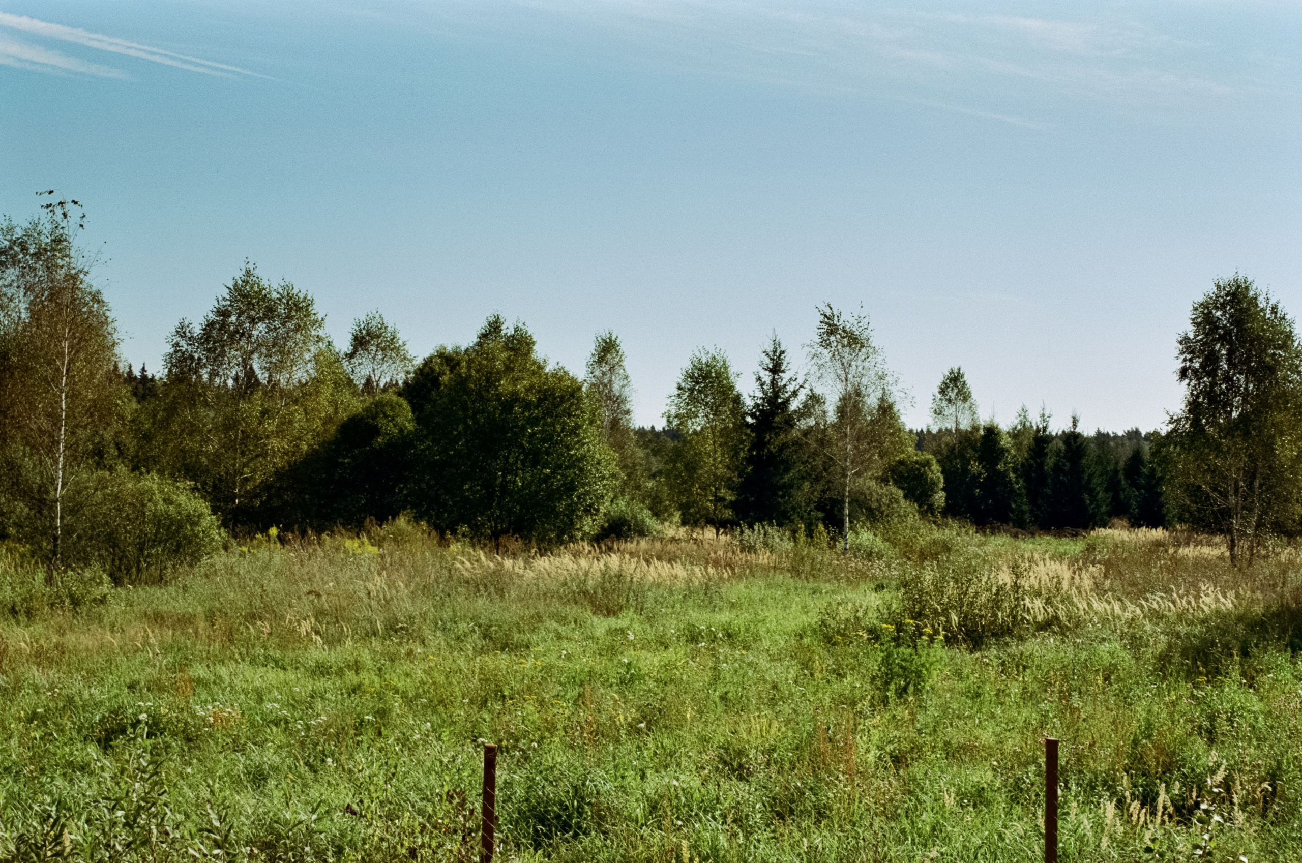 Mamiya 645 PRO обзор и примеры фотографий