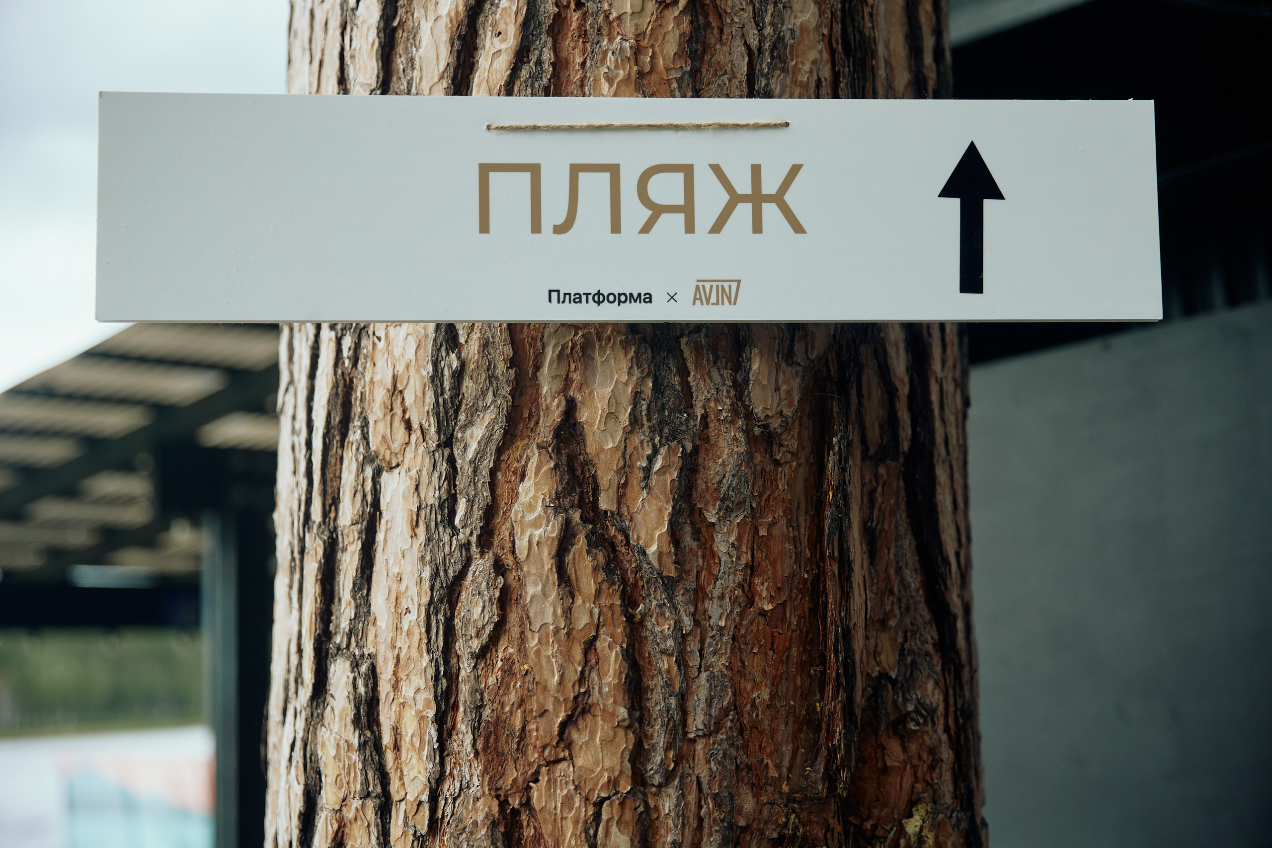 AVLN TEN YEARS. Дмитрий Мазуркевич: Профессиональный Репортажный Фотограф