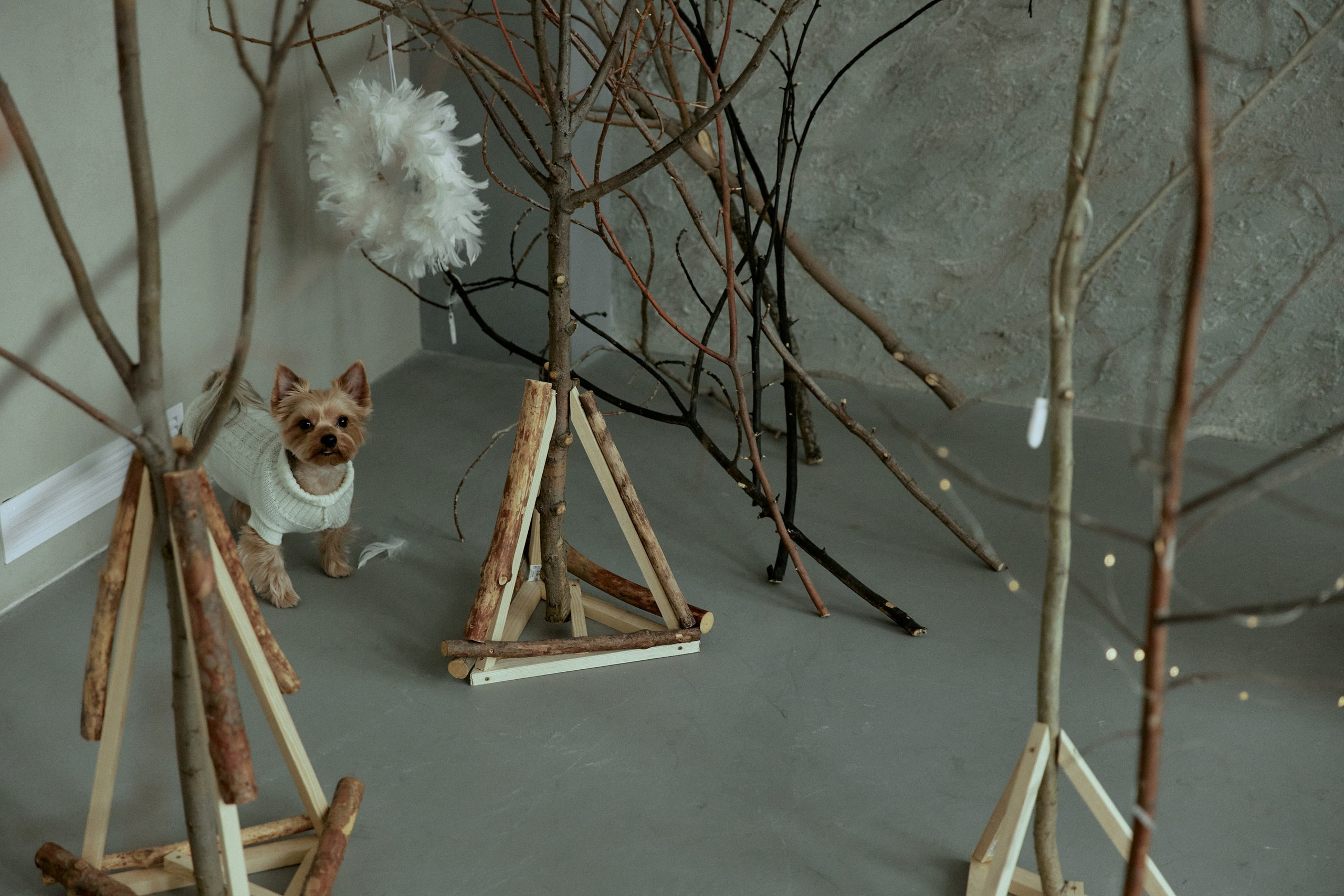 Vladimir & Anastasia. Event агентство PAPRIKA в Екатеринбурге