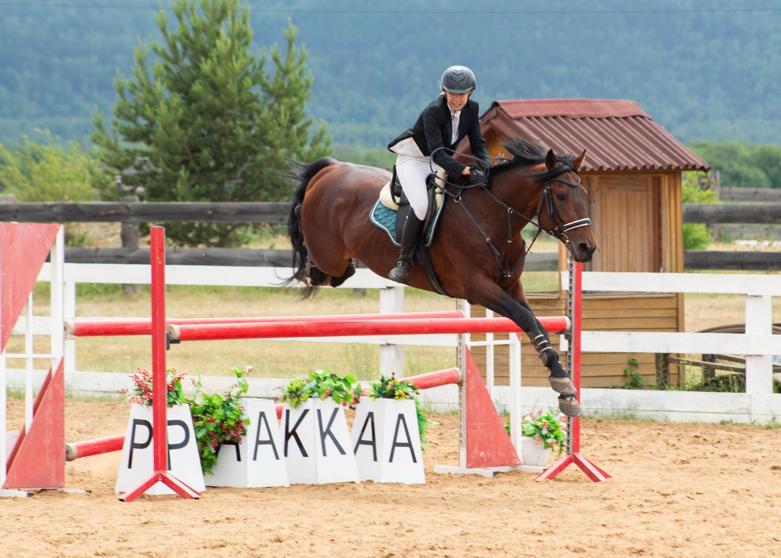 Соревнования. Фотограф в Иркутске, Харитонова Елизавета