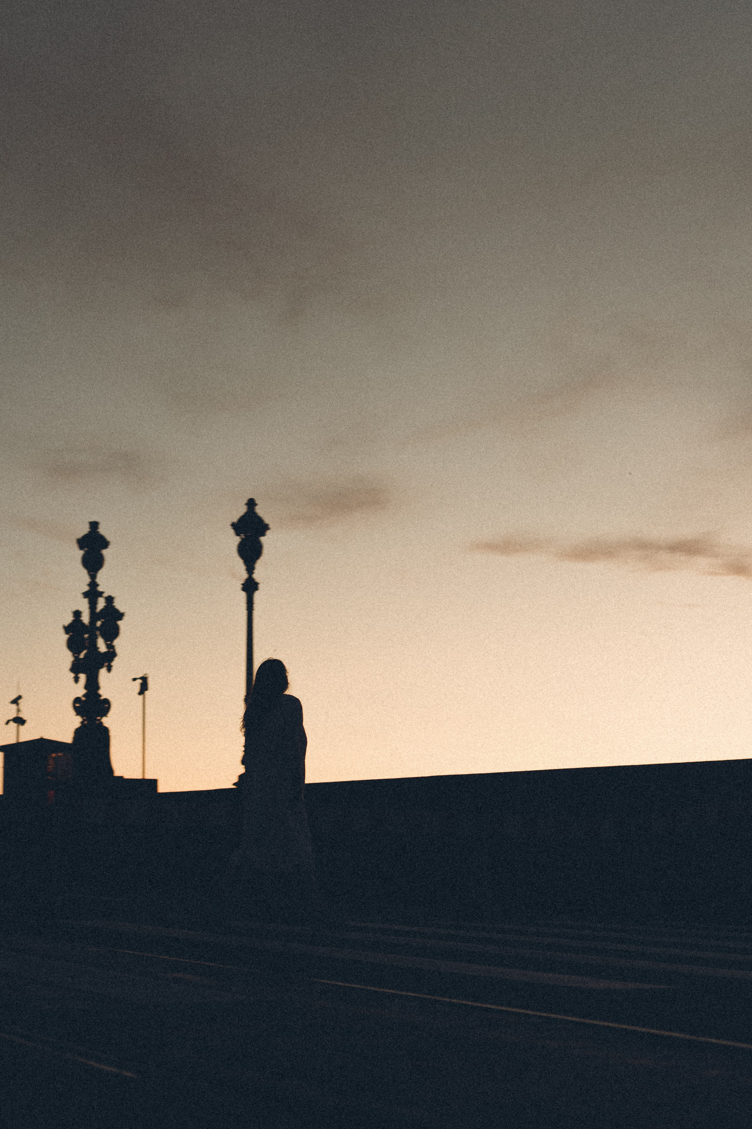 РАССВЕТ С РАЗВОДНЫМИ МОСТАМИ. Профессиональный фотограф, Санкт-Петербург — Виктория Богомолова