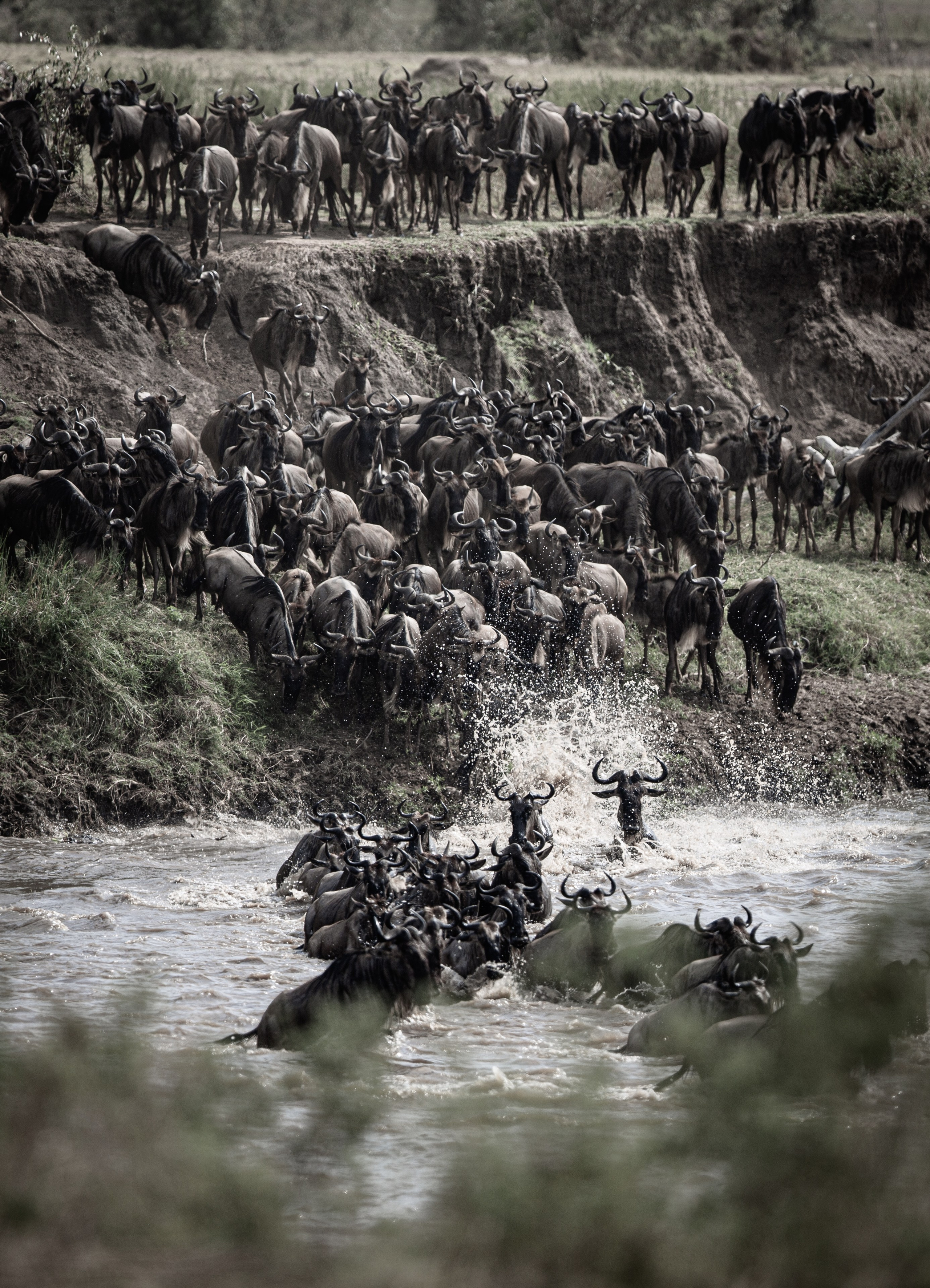 Танзания. Добродеева Алла фотограф, Москва