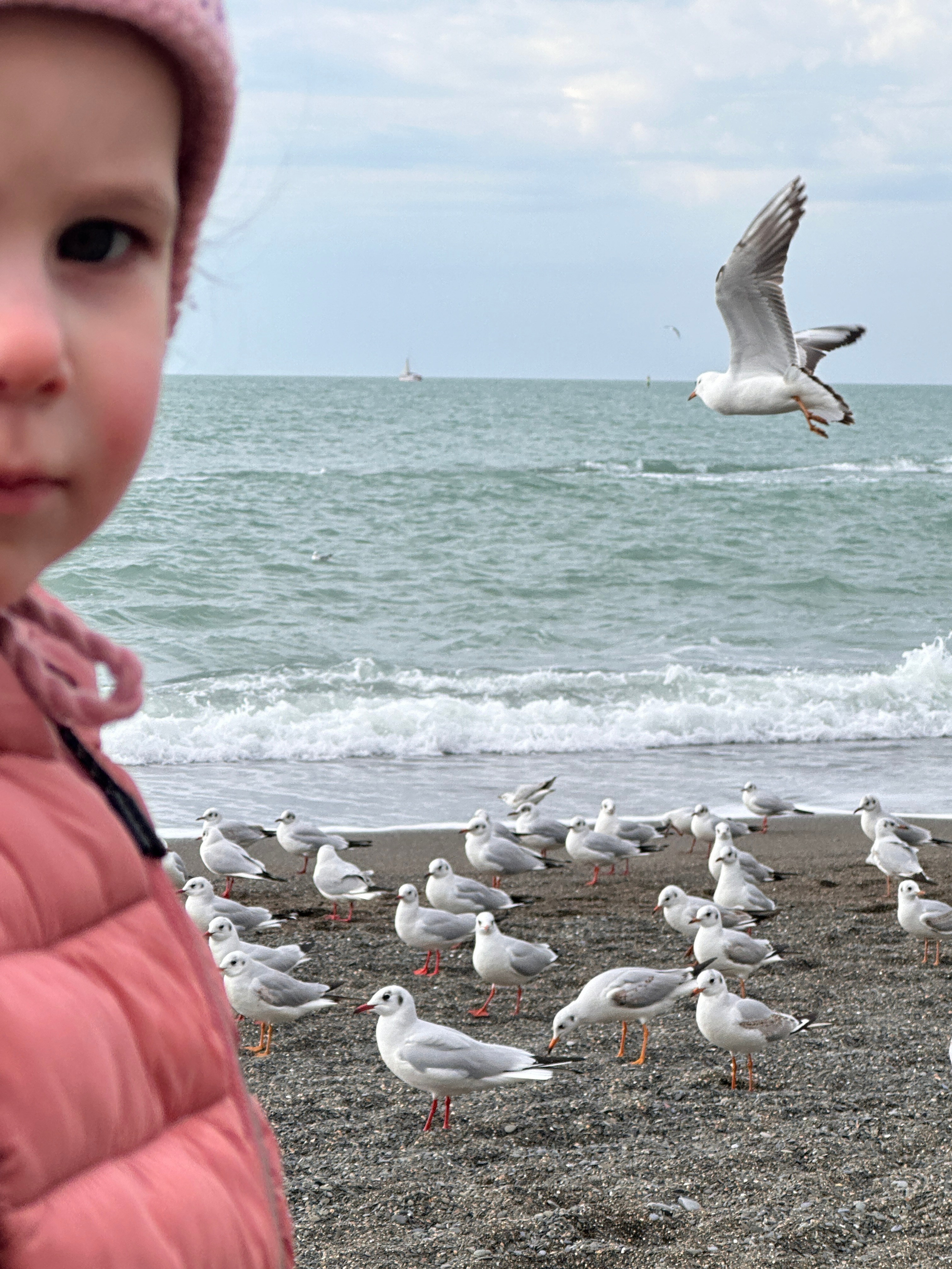 Дети. Смотри, красота!