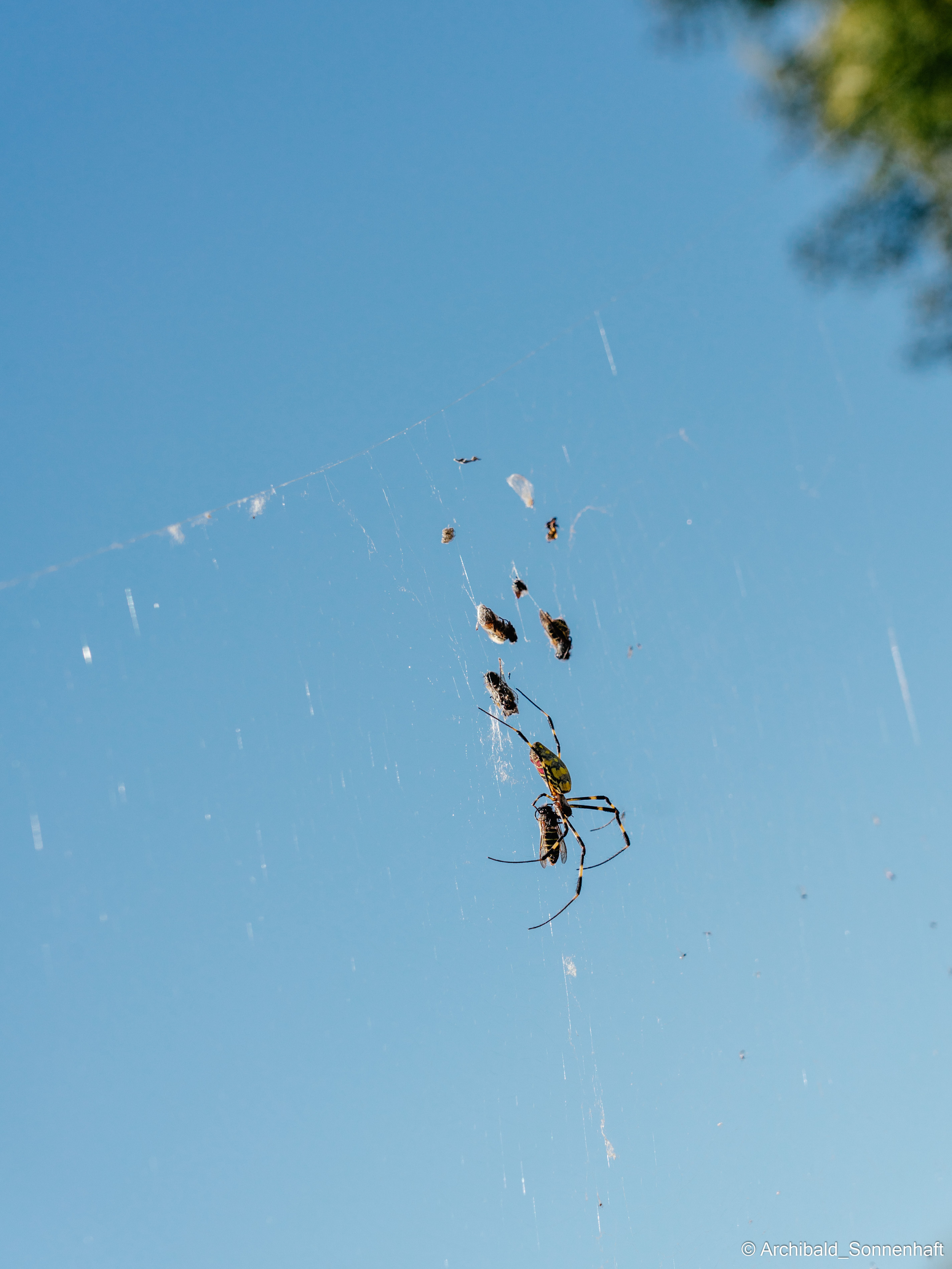 Hiking in Panlai. Photographer in Guangzhou, China. Archibald Sonnenhaft