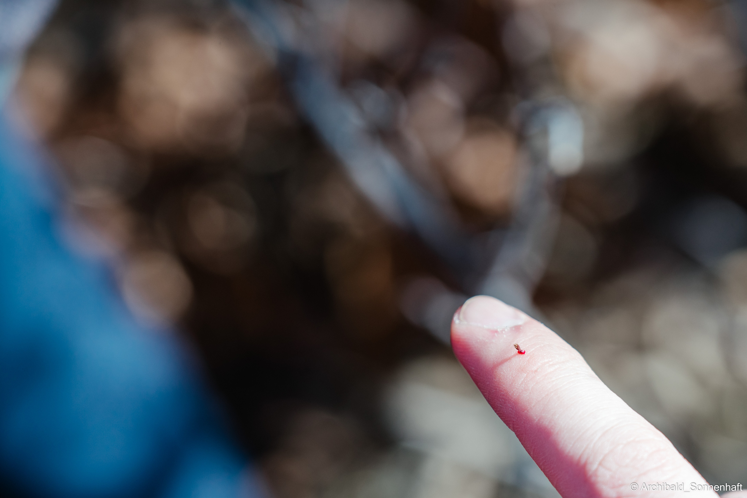 Hiking in Panlai. Photographer in Guangzhou, China. Archibald Sonnenhaft