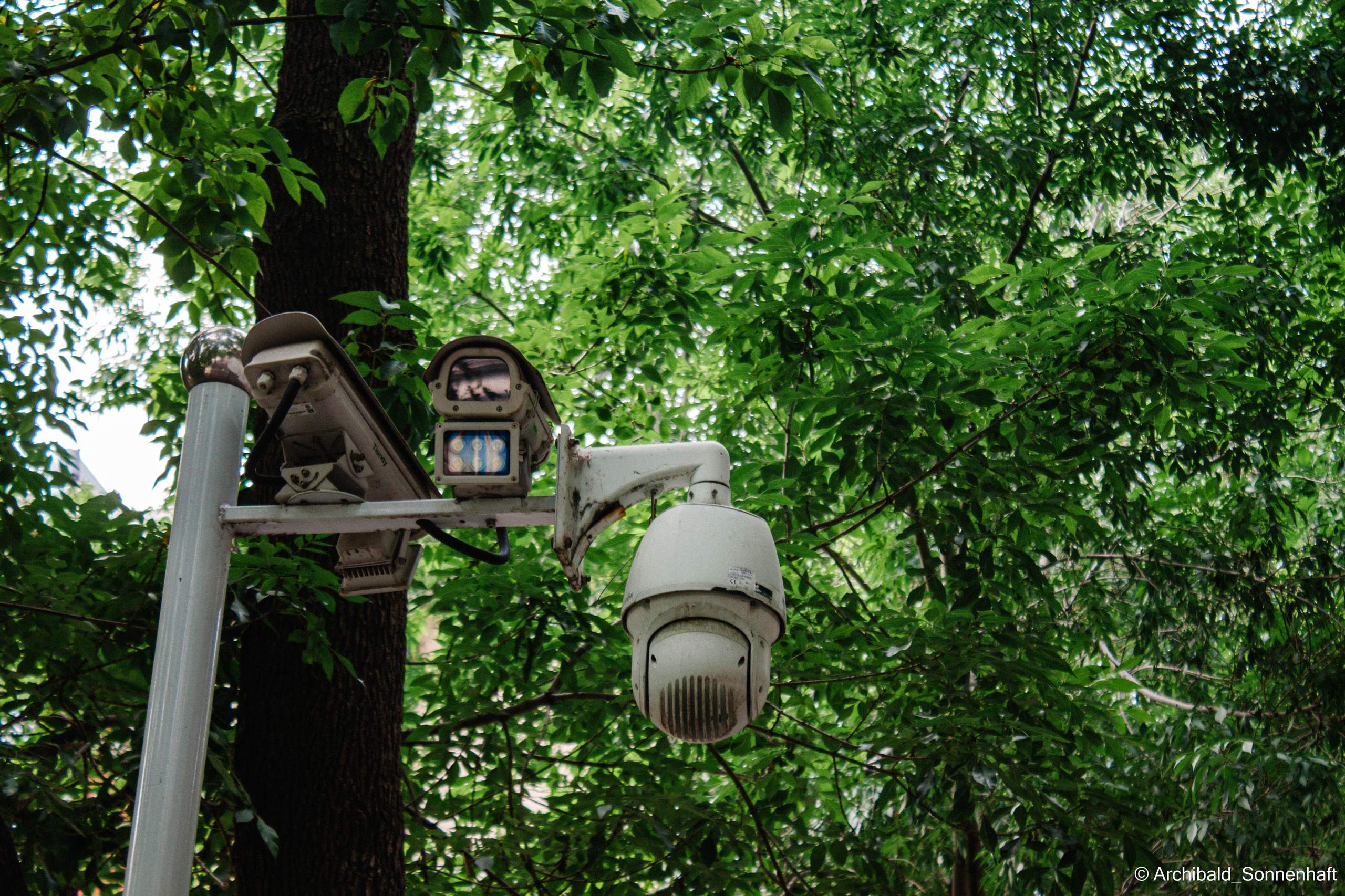 Watching cameras. Photographer in Guangzhou, China. Archibald Sonnenhaft