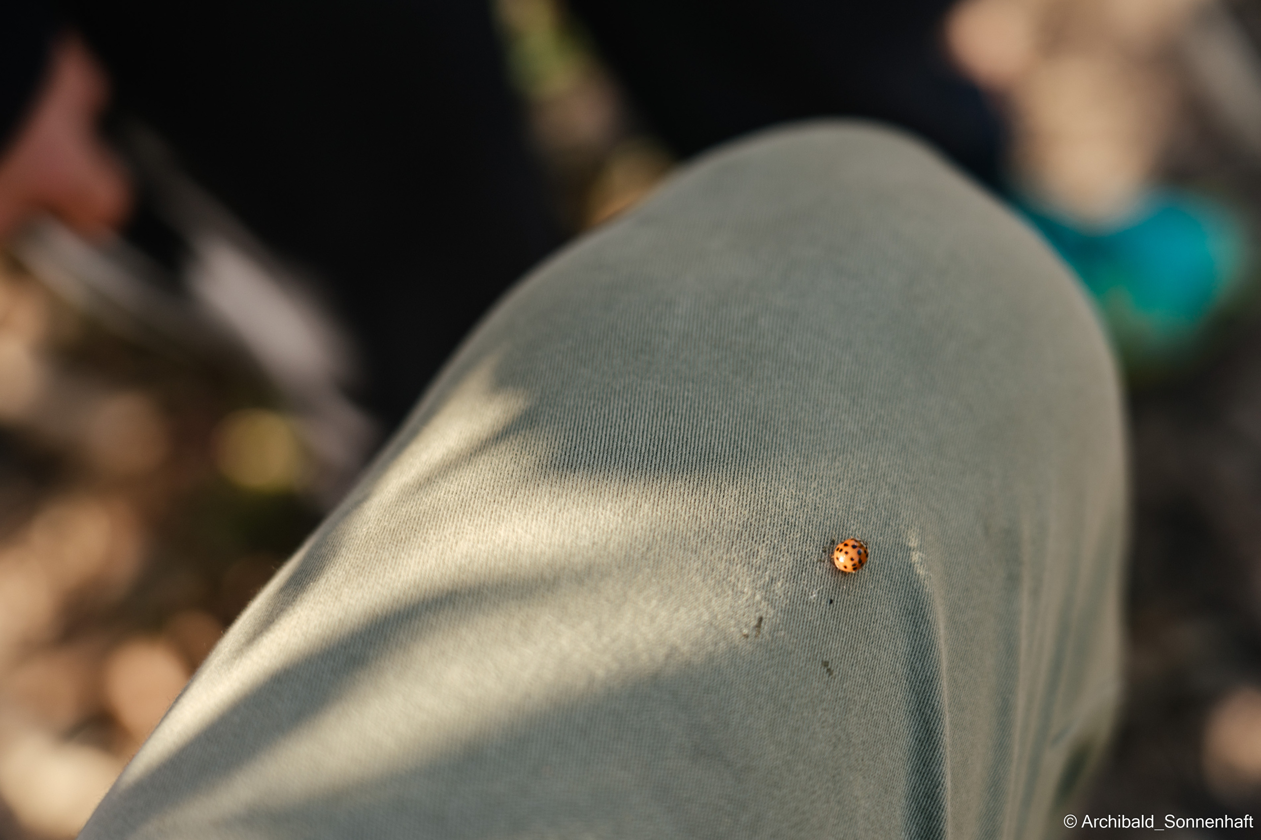 Hiking in Panlai. Photographer in Guangzhou, China. Archibald Sonnenhaft