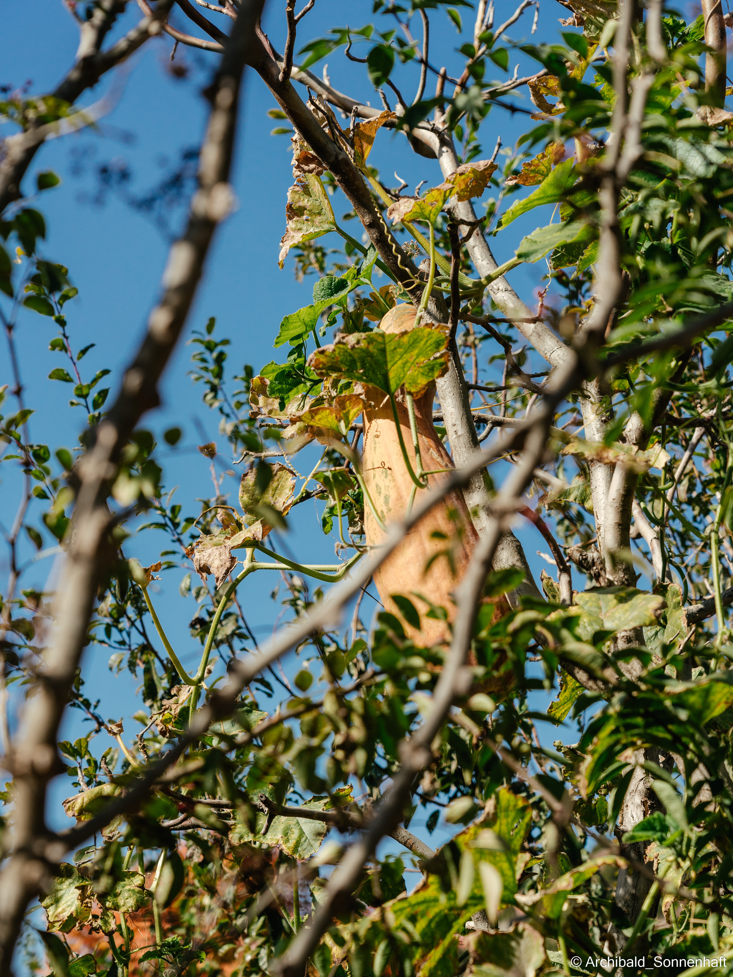 Hiking in Panlai. Photographer in Guangzhou, China. Archibald Sonnenhaft
