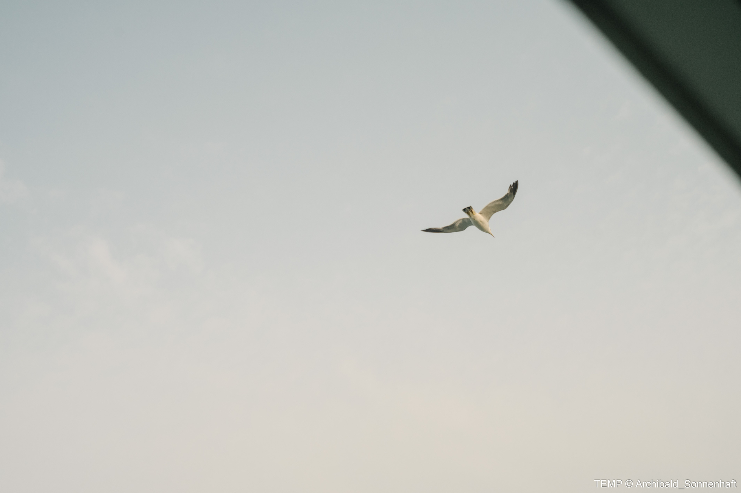 Small tourist island (Yantai district, China). Photographer in Guangzhou, China. Archibald Sonnenhaft