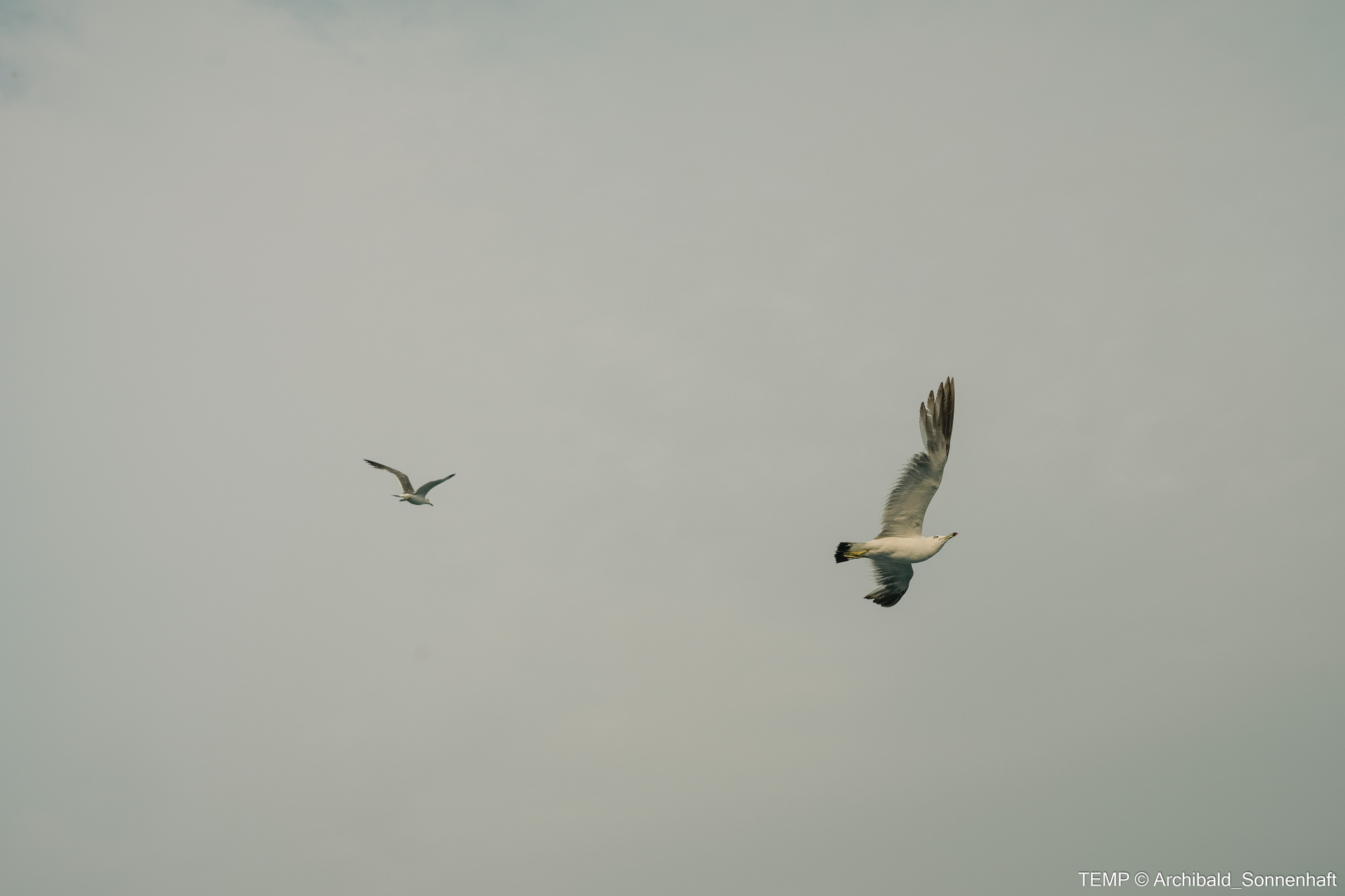 Small tourist island (Yantai district, China). Photographer in Guangzhou, China. Archibald Sonnenhaft