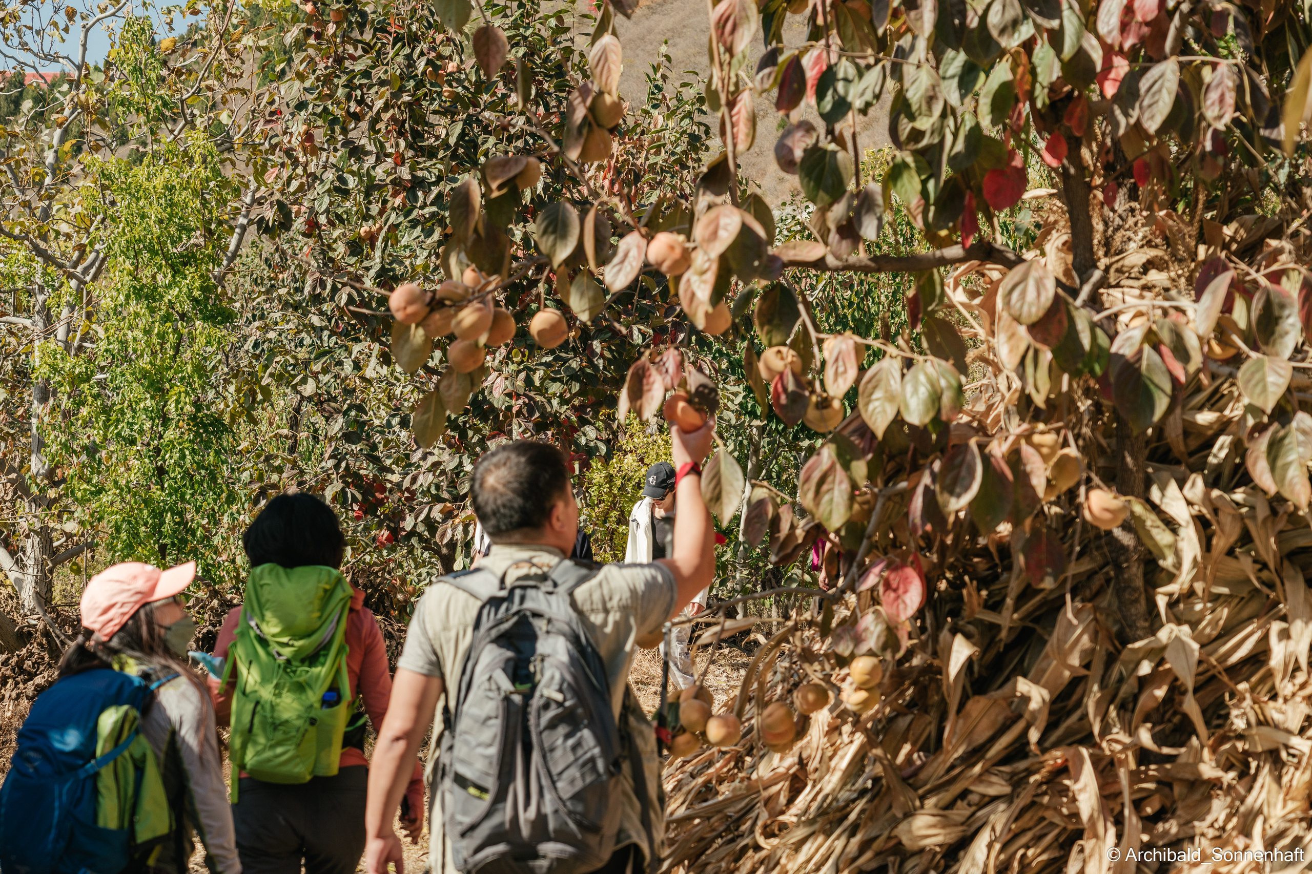 Hiking in Panlai. Photographer in Guangzhou, China. Archibald Sonnenhaft