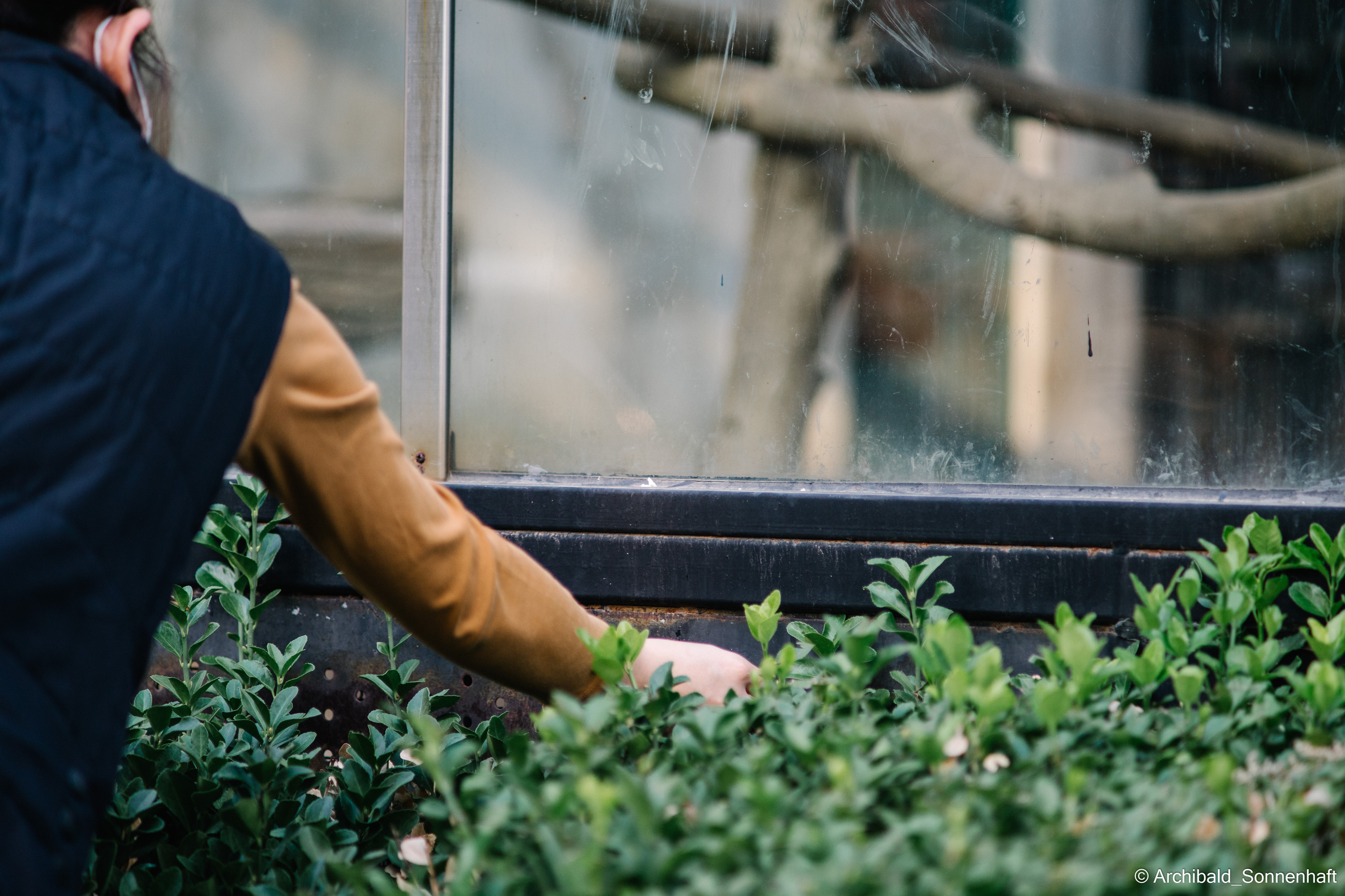 Zoo. Photographer in Guangzhou, China. Archibald Sonnenhaft