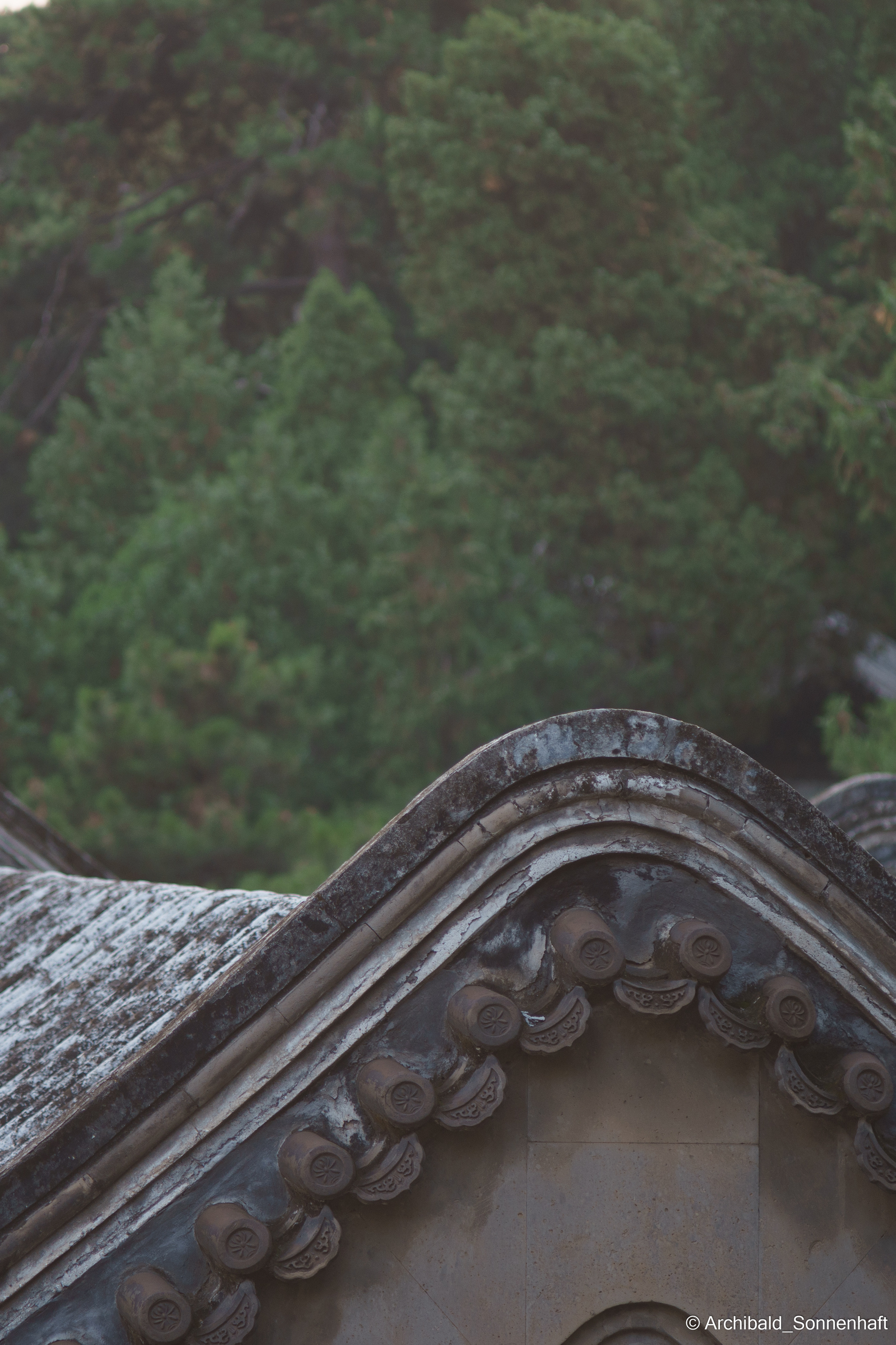 Light, beautiful, vertical. Photographer in Guangzhou, China. Archibald Sonnenhaft