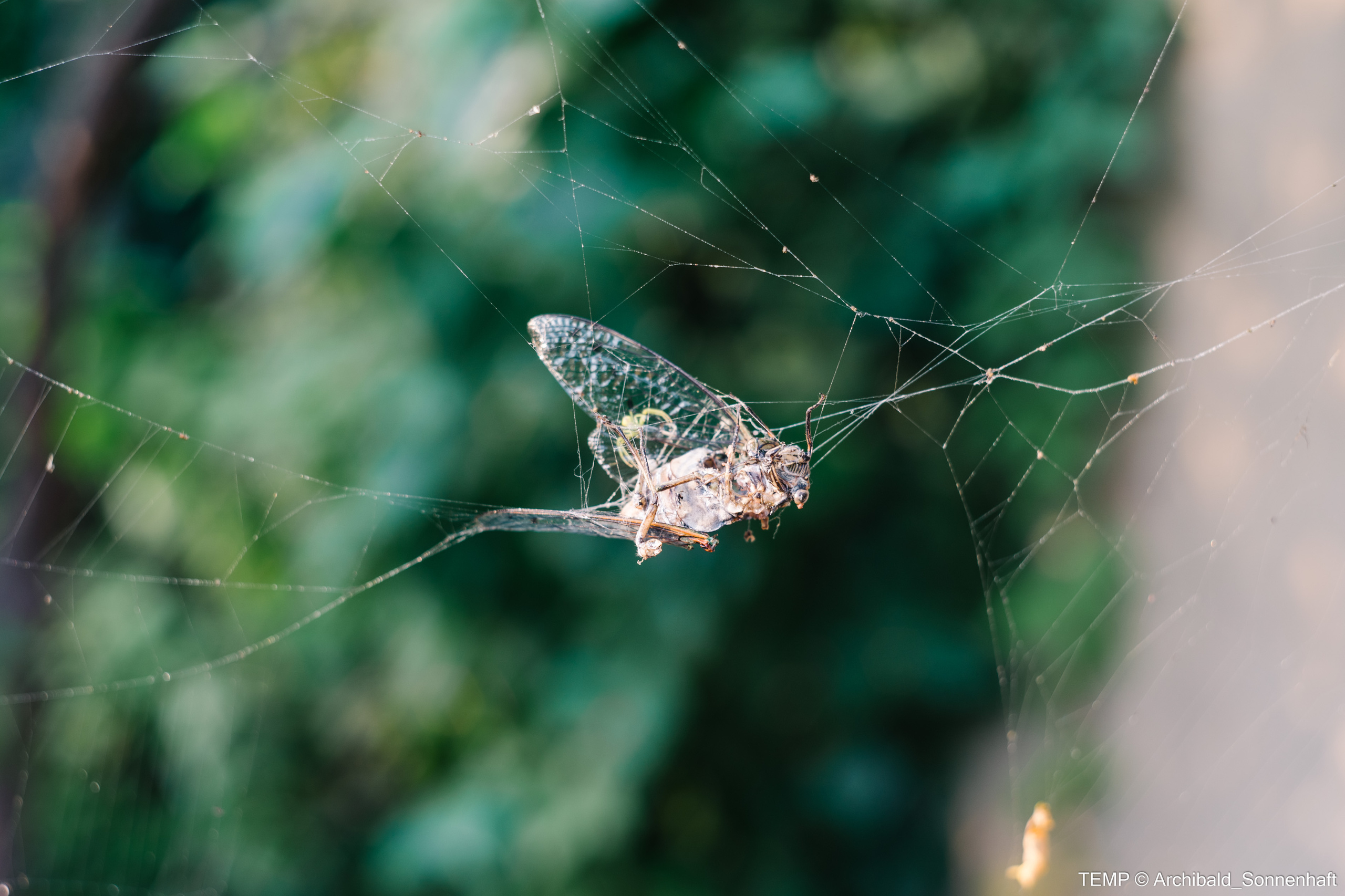 Small tourist island (Yantai district, China). Photographer in Guangzhou, China. Archibald Sonnenhaft