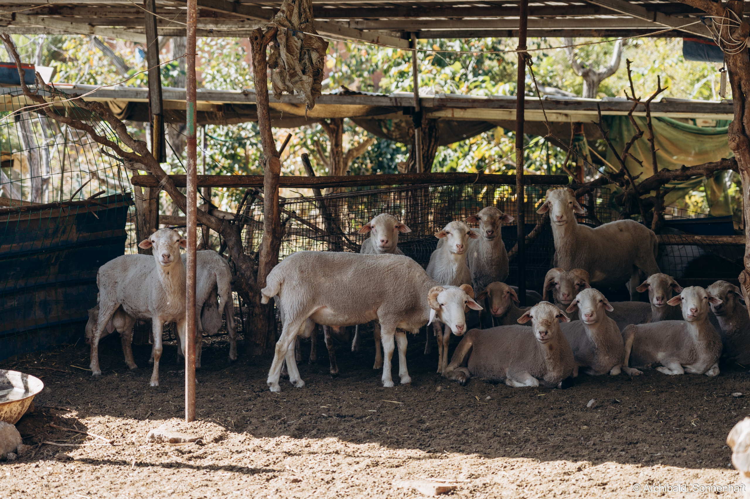 Hiking in Panlai. Photographer in Guangzhou, China. Archibald Sonnenhaft
