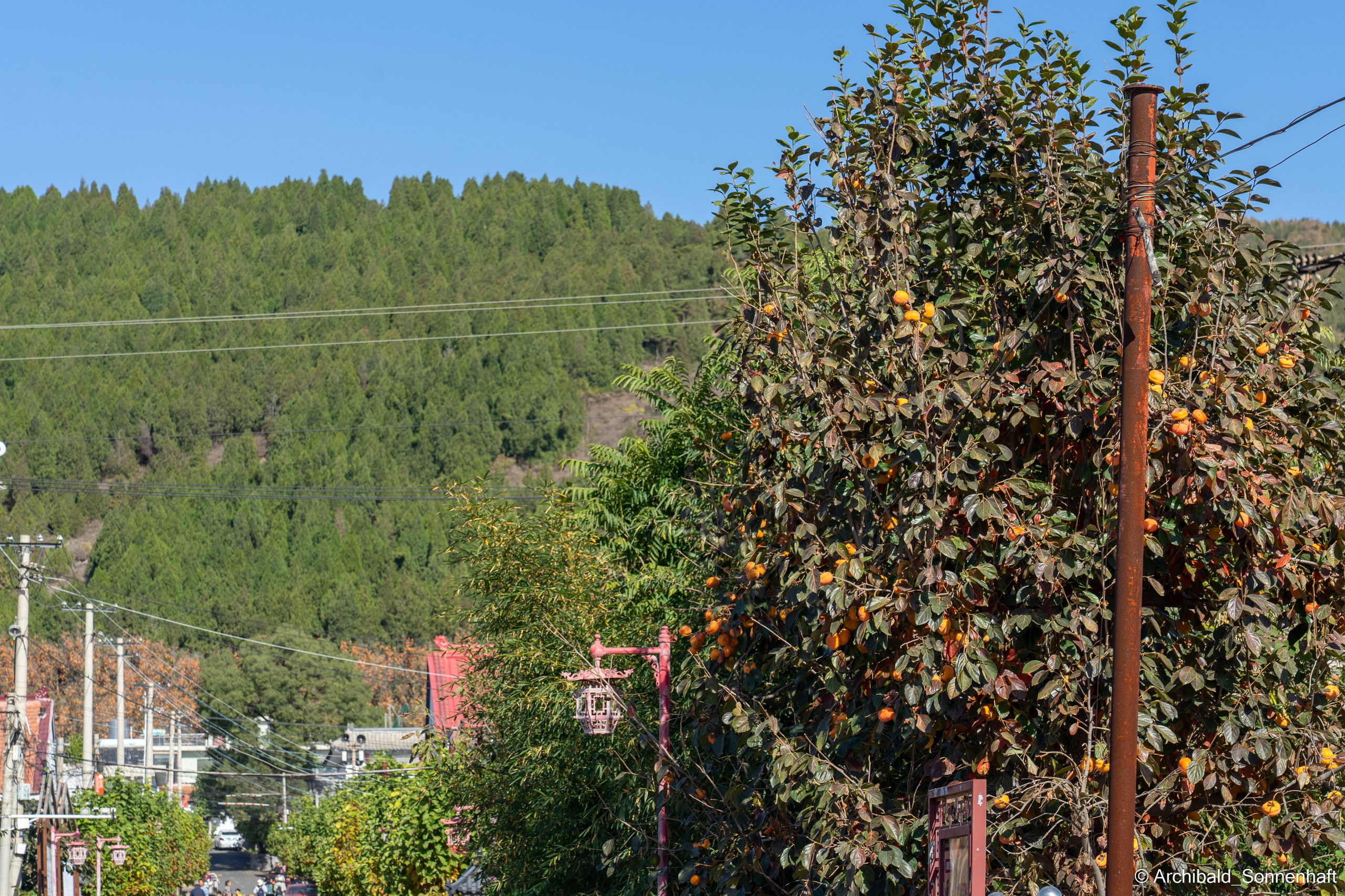 Hiking in Panlai. Photographer in Guangzhou, China. Archibald Sonnenhaft