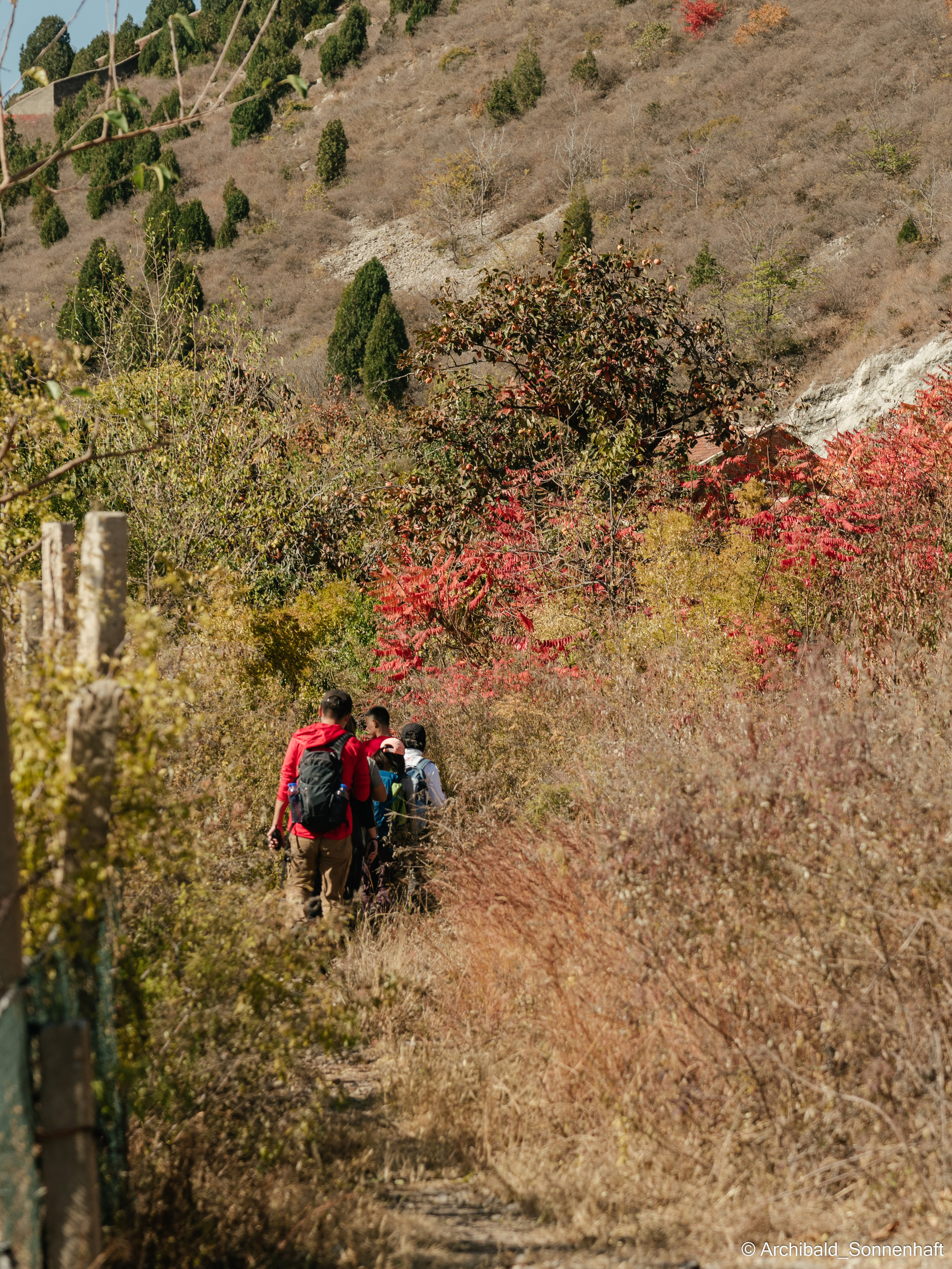 Hiking in Panlai. Photographer in Guangzhou, China. Archibald Sonnenhaft