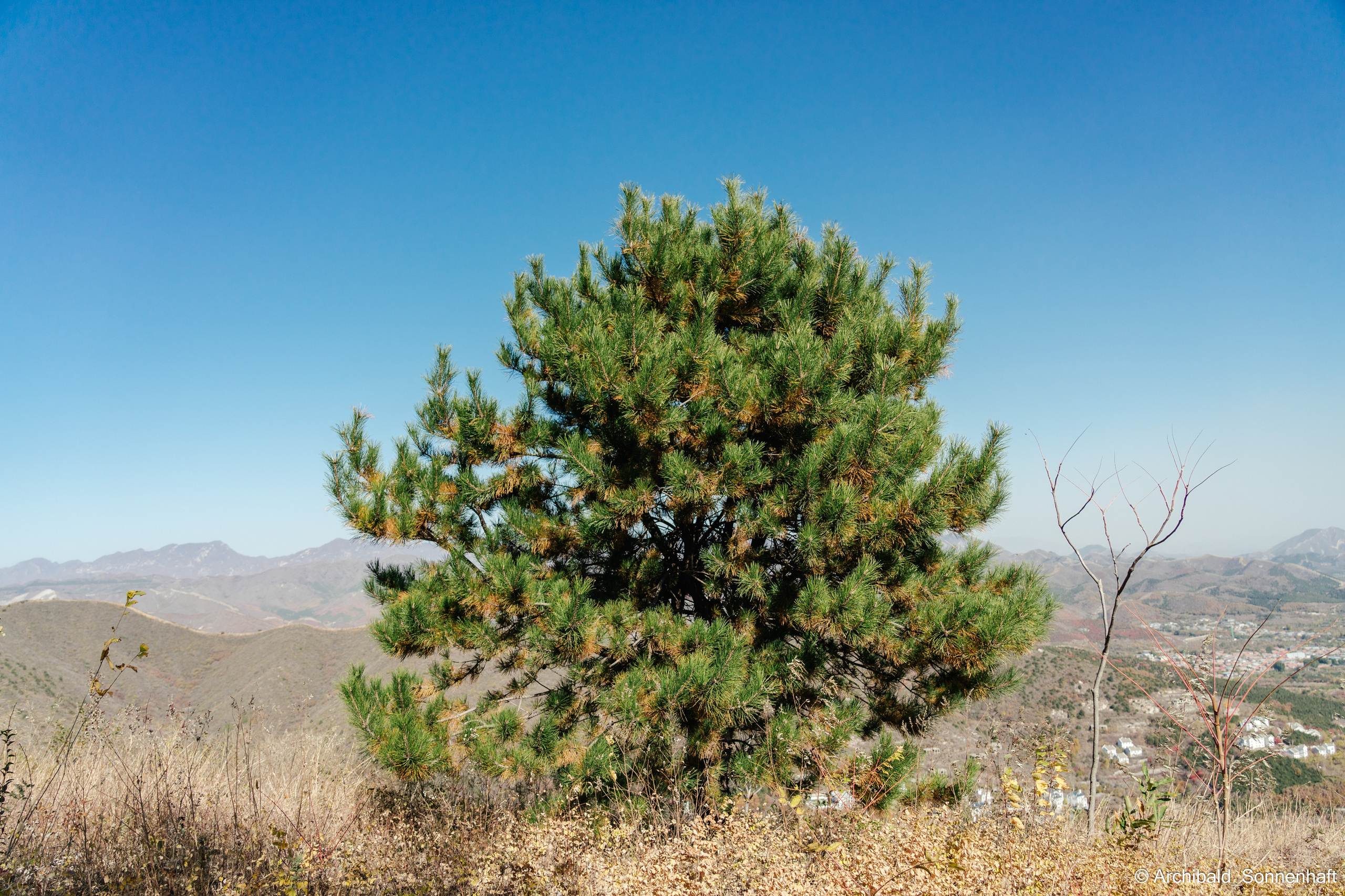 Hiking in Panlai. Photographer in Guangzhou, China. Archibald Sonnenhaft