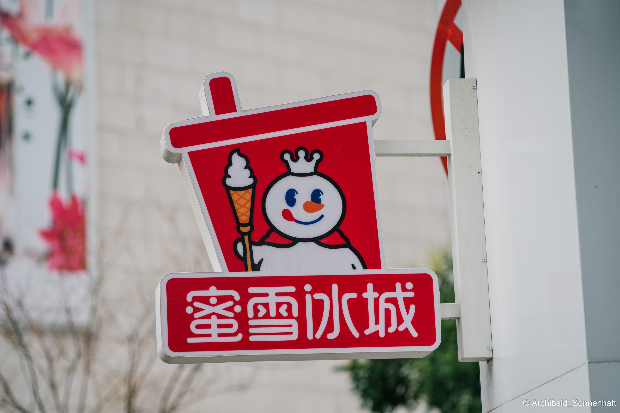 Tea exhibition in Tianjin, China. Photographer in Guangzhou, China. Archibald Sonnenhaft