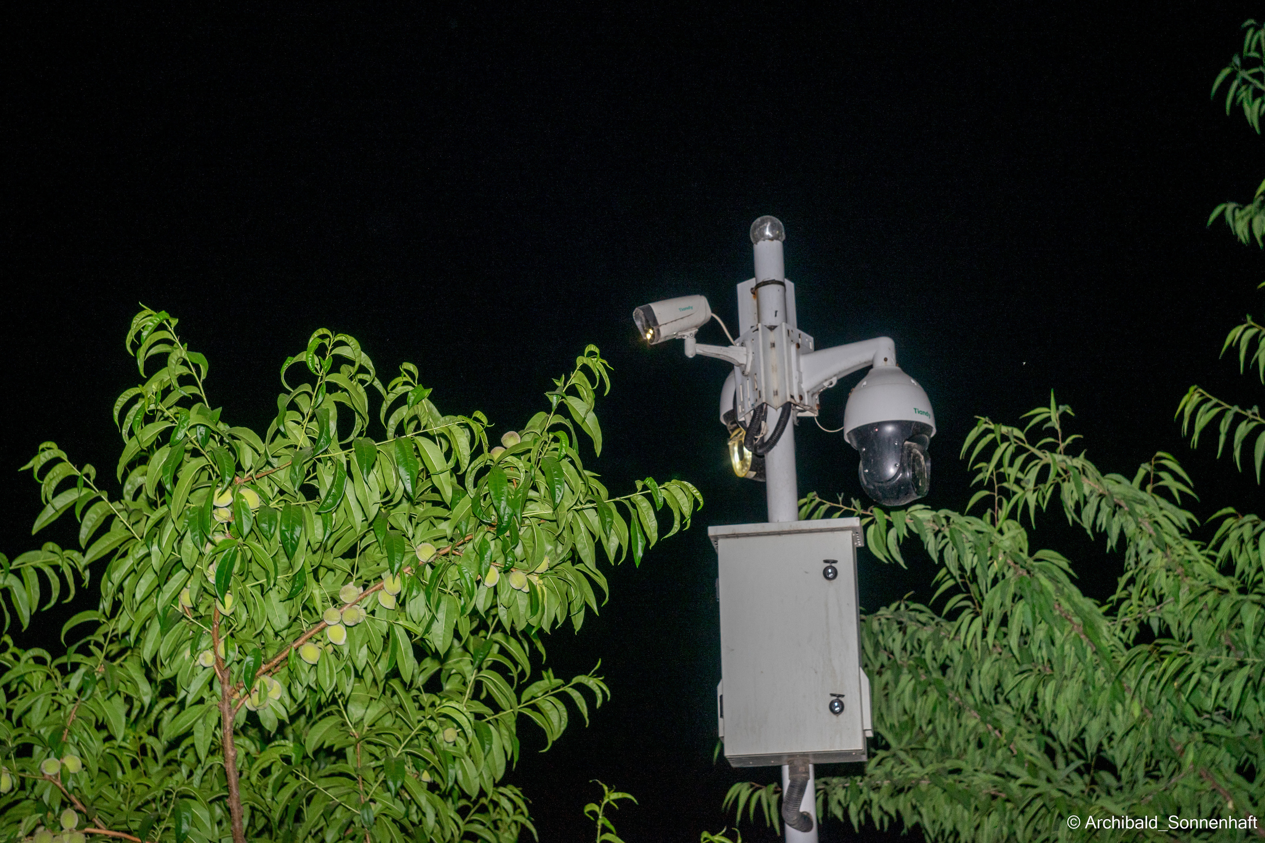 Watching cameras. Photographer in Guangzhou, China. Archibald Sonnenhaft