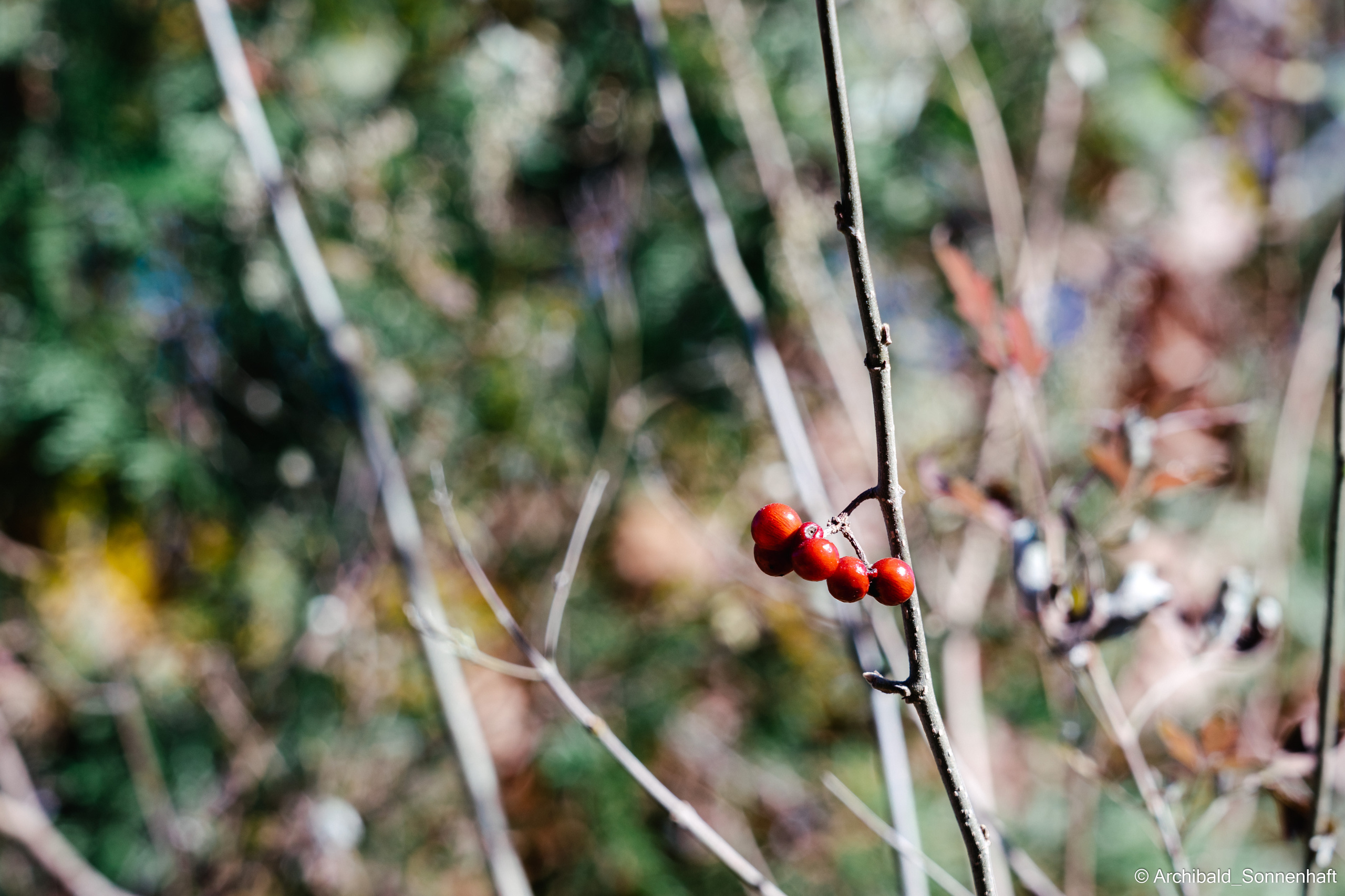 Hiking in Panlai. Photographer in Guangzhou, China. Archibald Sonnenhaft