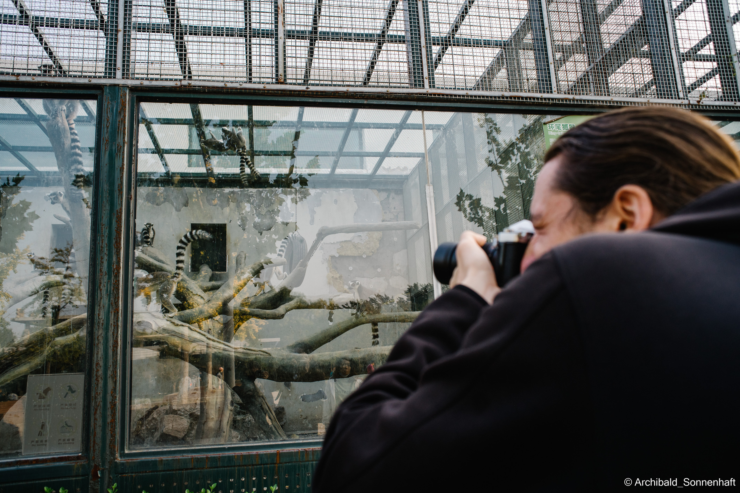 Zoo. Photographer in Guangzhou, China. Archibald Sonnenhaft