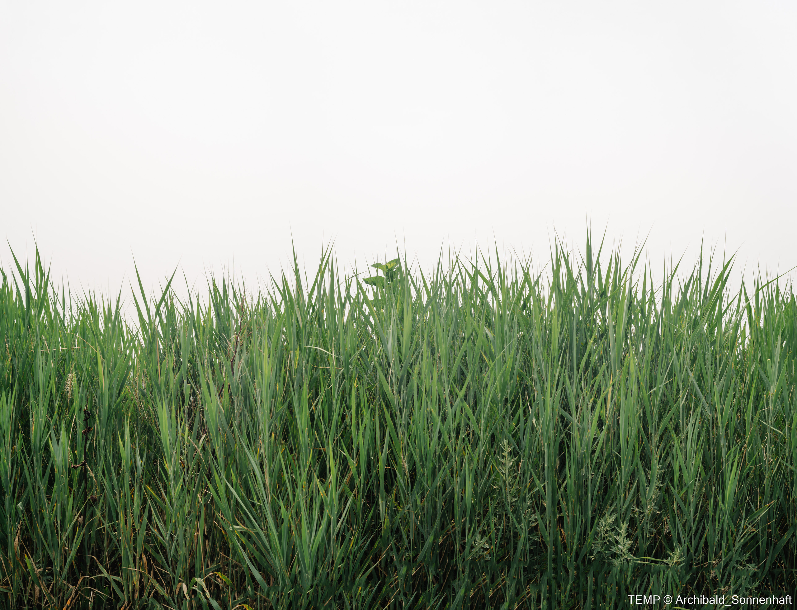 Small tourist island (Yantai district, China). Photographer in Guangzhou, China. Archibald Sonnenhaft