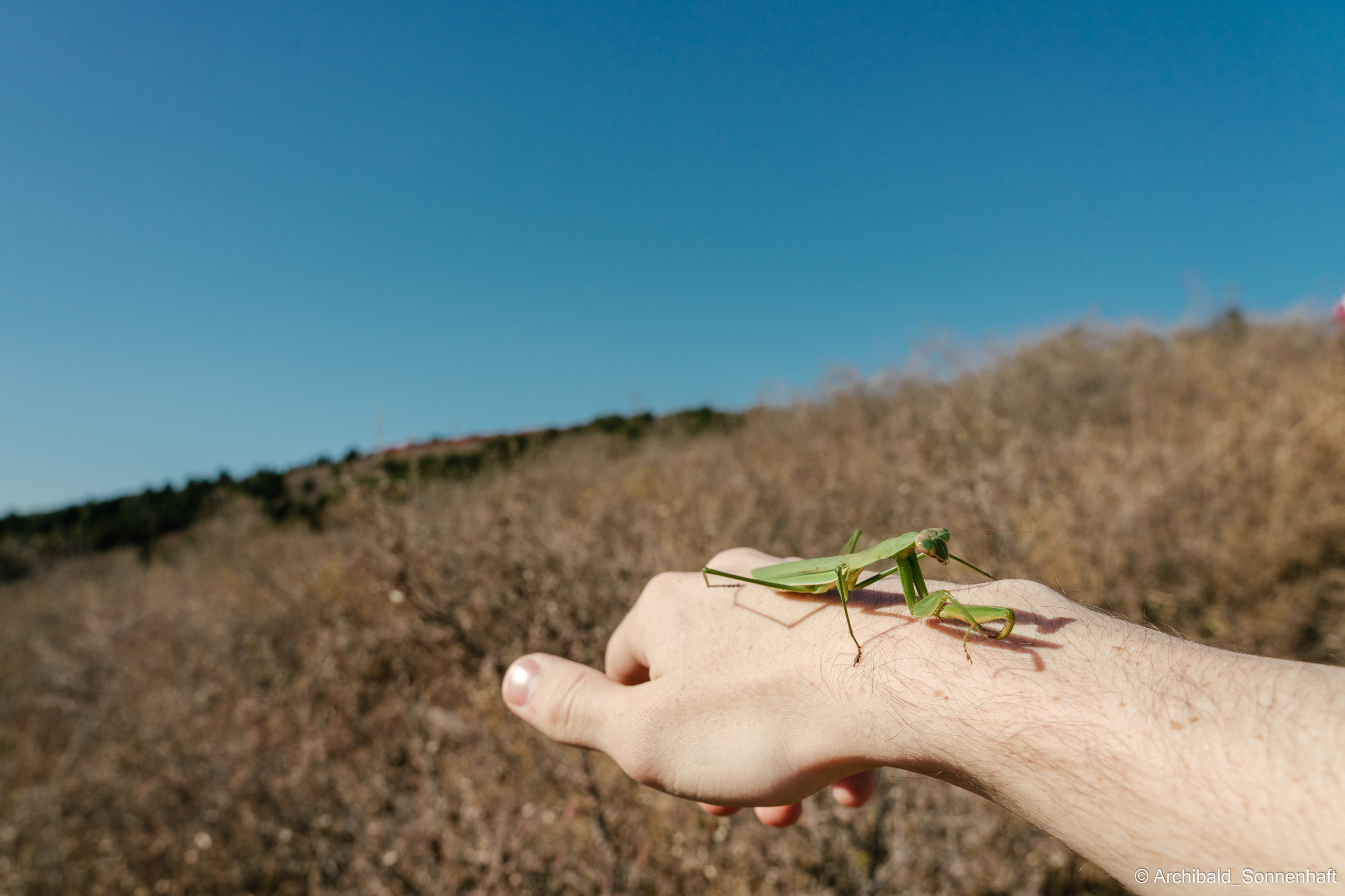Hiking in Panlai. Photographer in Guangzhou, China. Archibald Sonnenhaft