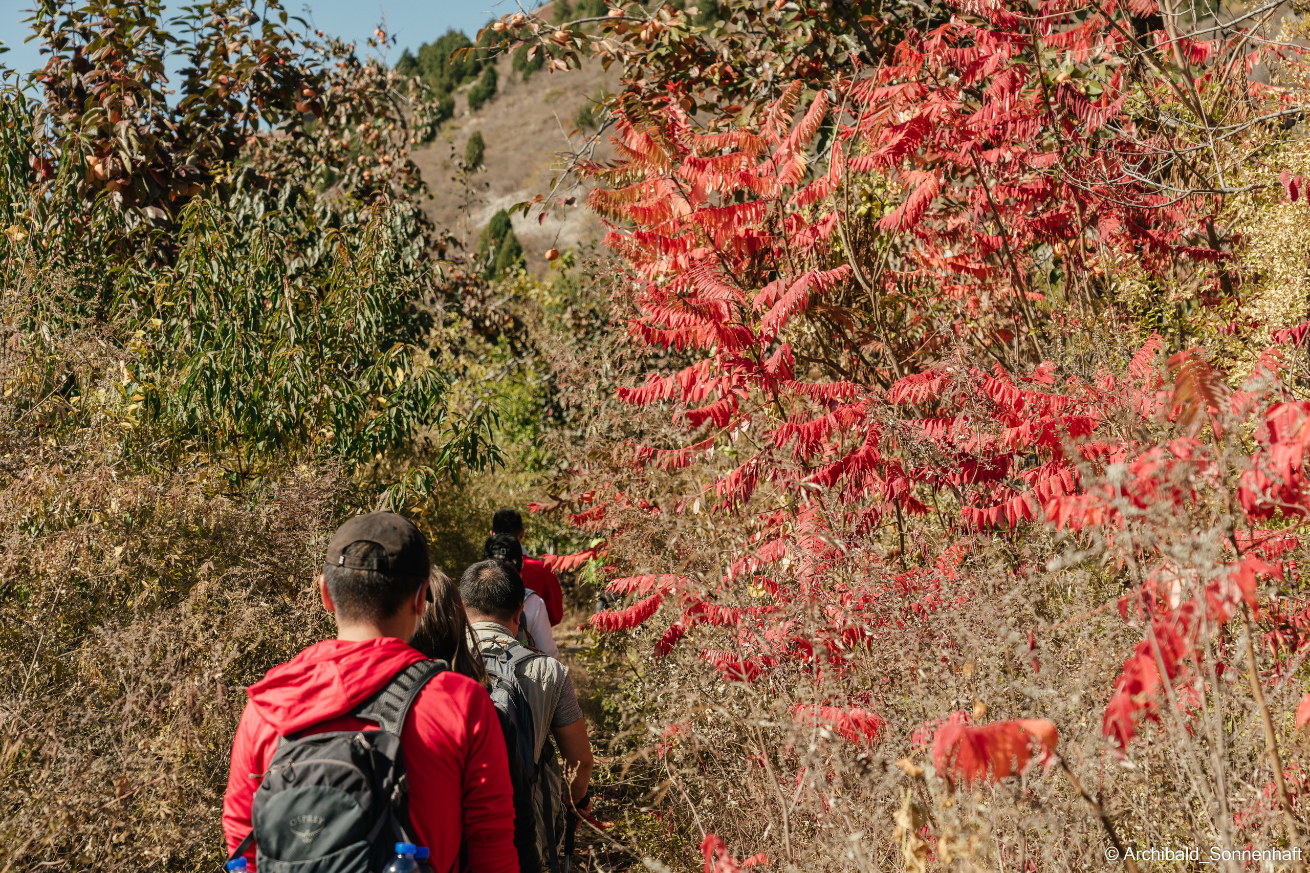 Hiking in Panlai. Photographer in Guangzhou, China. Archibald Sonnenhaft