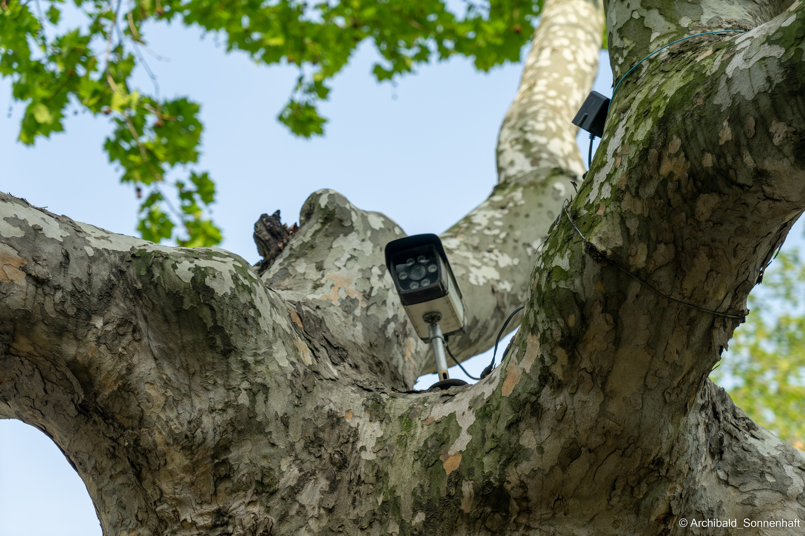 Watching cameras. Photographer in Guangzhou, China. Archibald Sonnenhaft