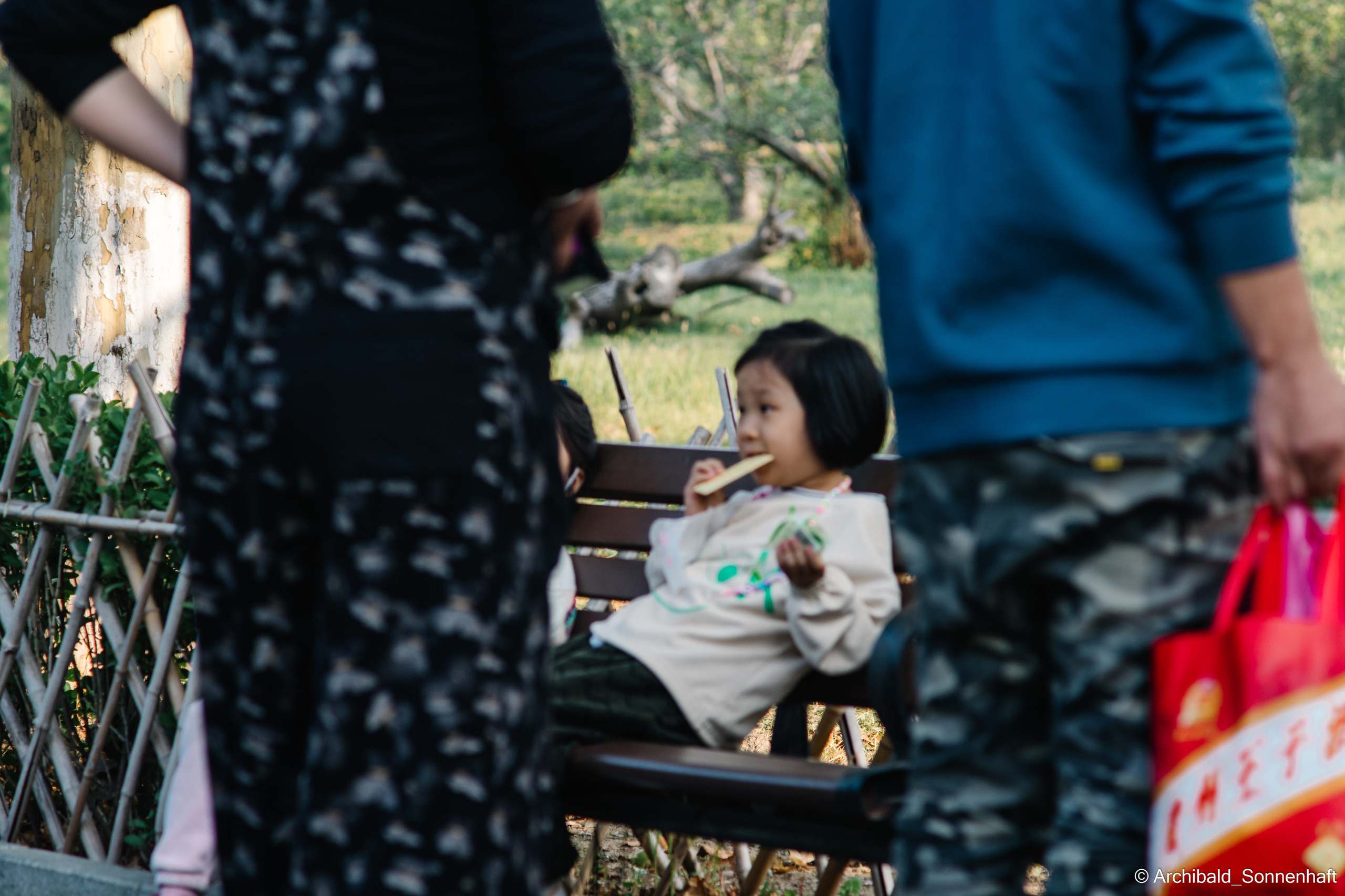 Zoo. Photographer in Guangzhou, China. Archibald Sonnenhaft