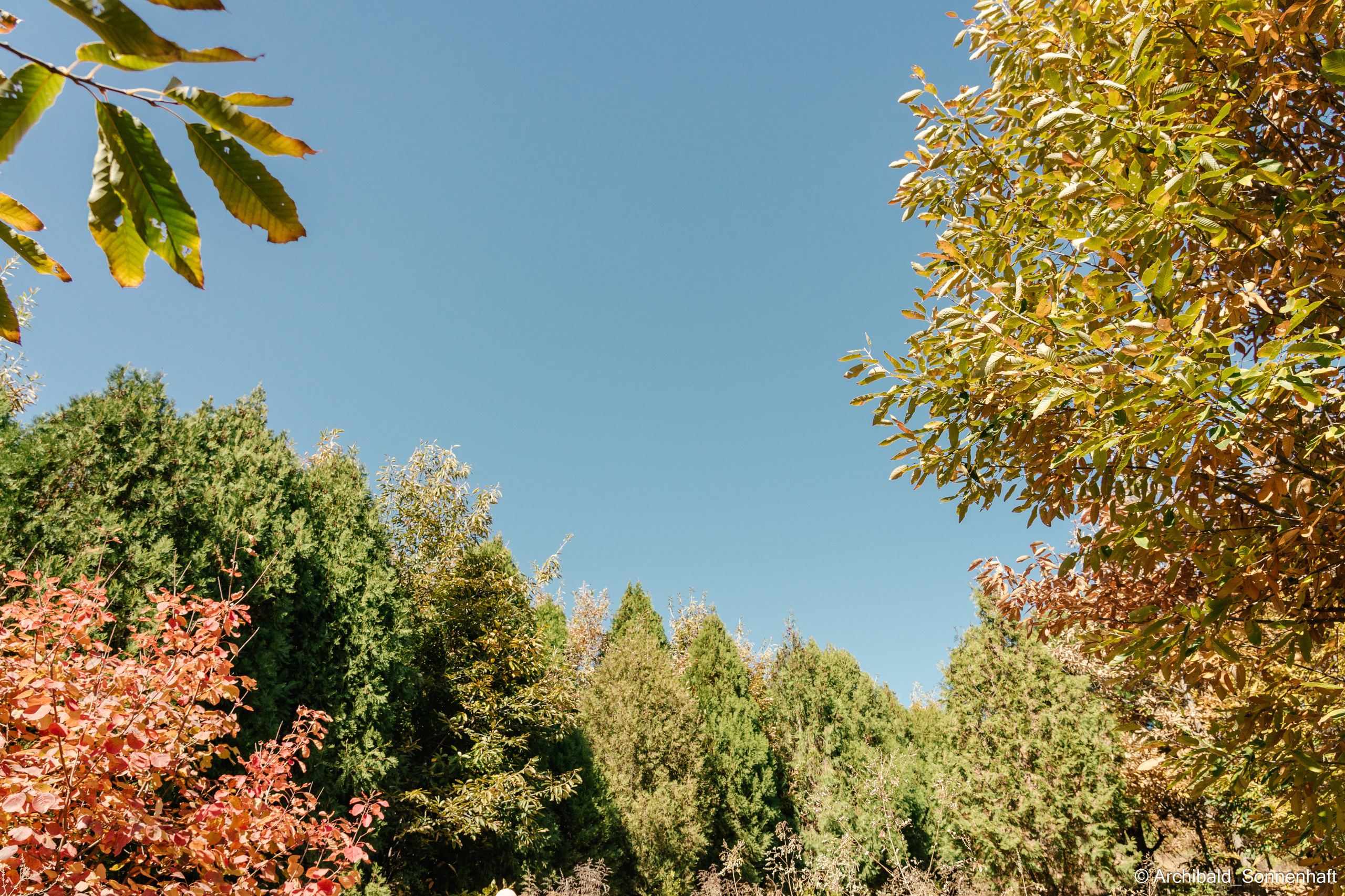 Hiking in Panlai. Photographer in Guangzhou, China. Archibald Sonnenhaft
