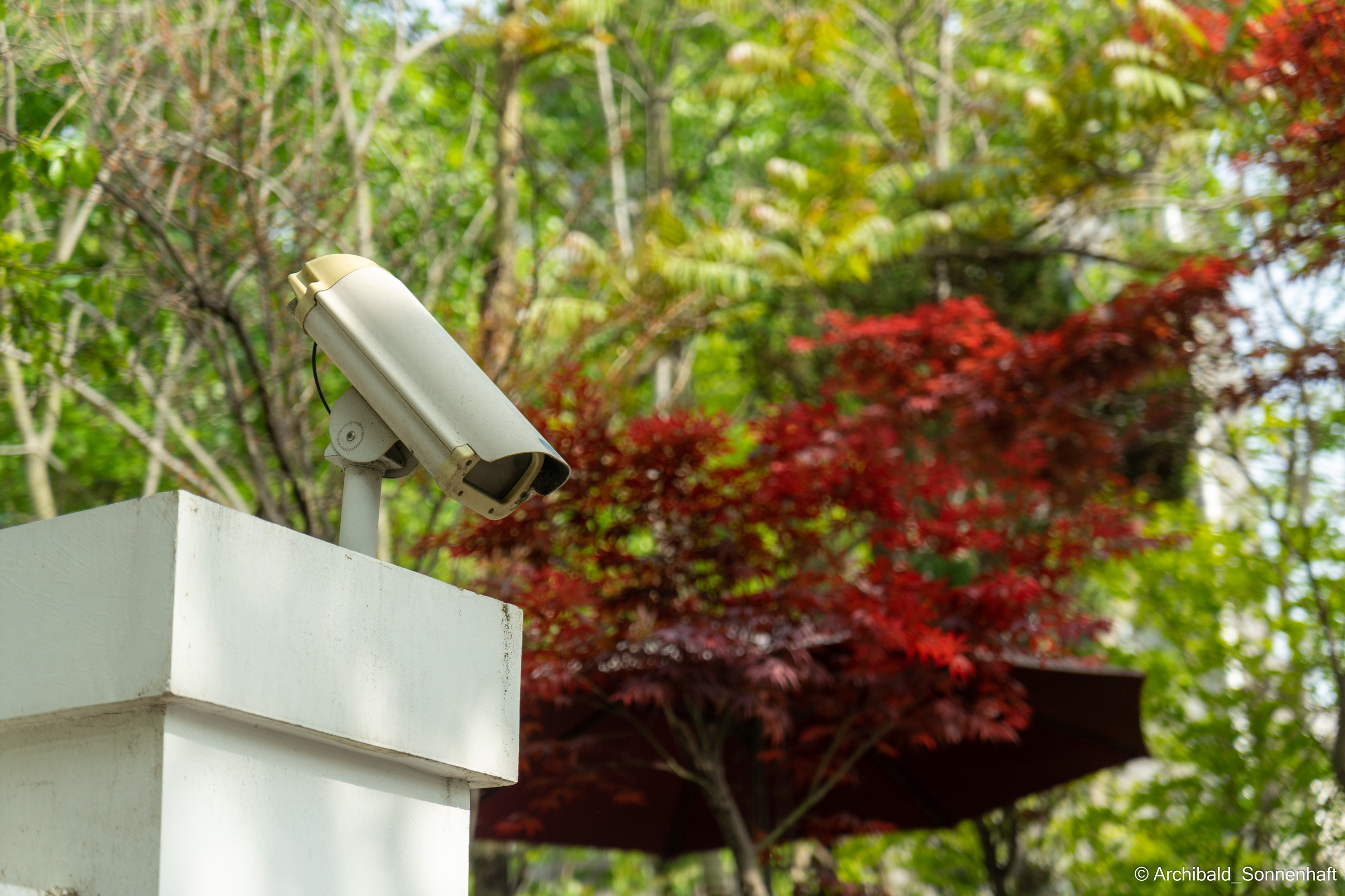 Watching cameras. Photographer in Guangzhou, China. Archibald Sonnenhaft