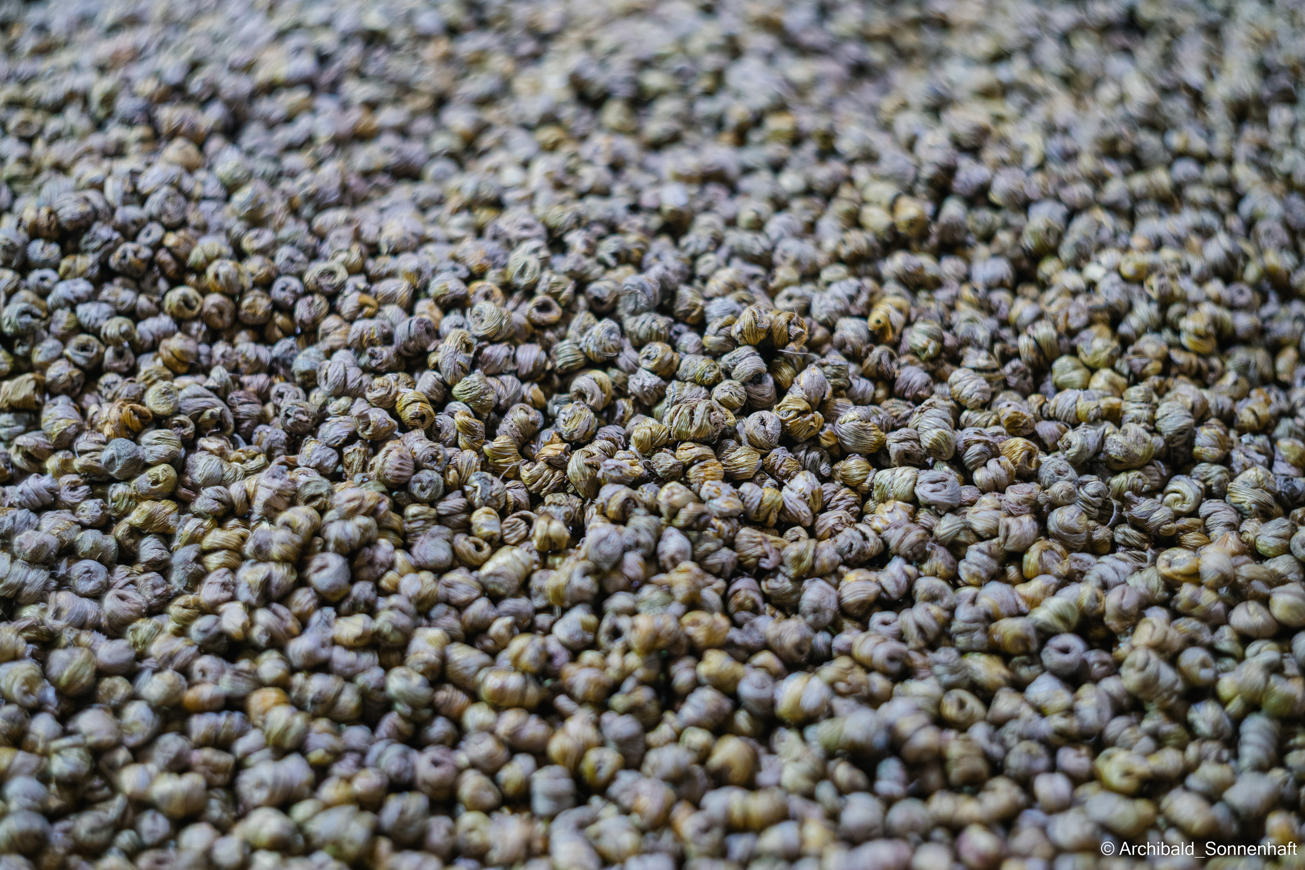 Tea exhibition in Tianjin, China. Photographer in Guangzhou, China. Archibald Sonnenhaft