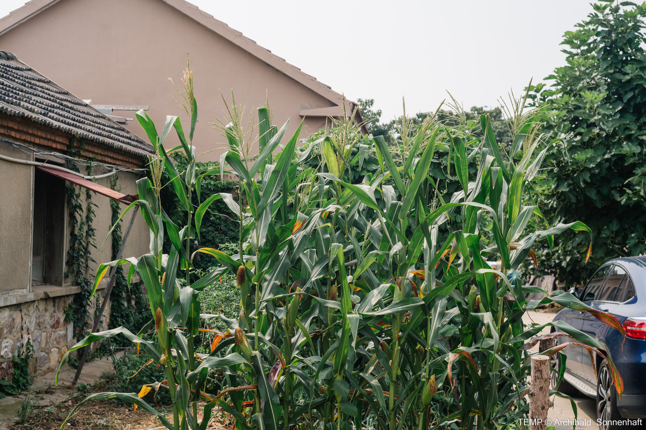 Small tourist island (Yantai district, China). Photographer in Guangzhou, China. Archibald Sonnenhaft