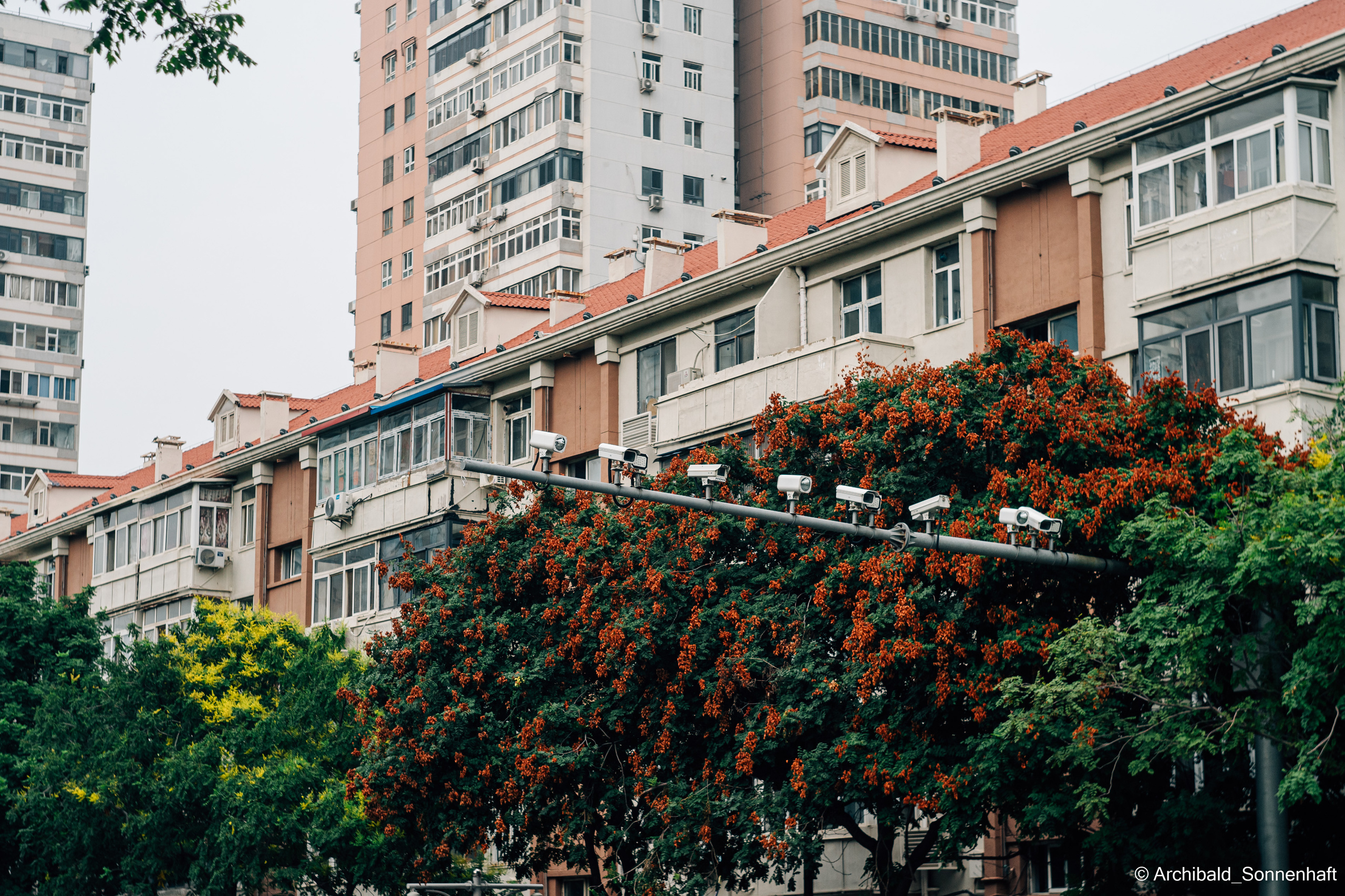 Watching cameras. Photographer in Guangzhou, China. Archibald Sonnenhaft