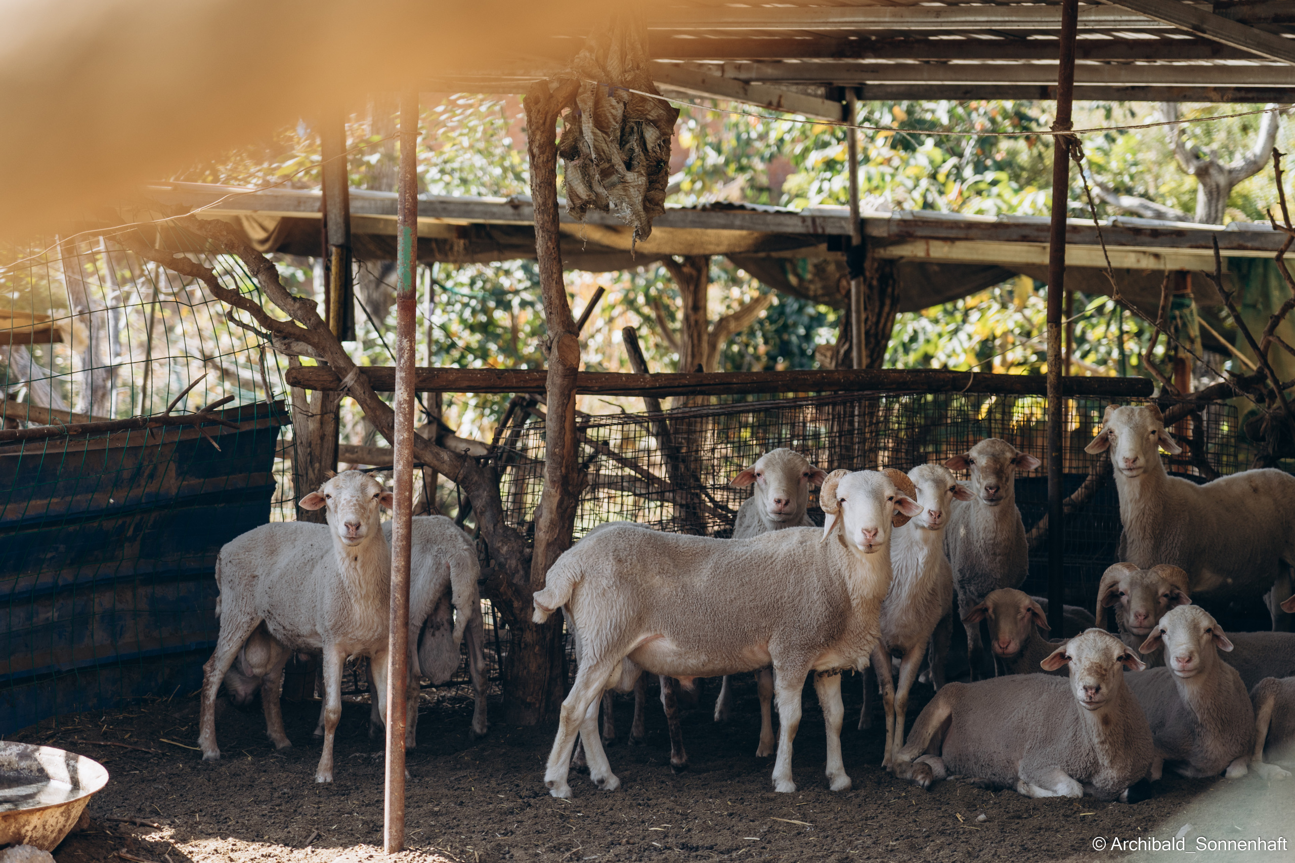 Hiking in Panlai. Photographer in Guangzhou, China. Archibald Sonnenhaft